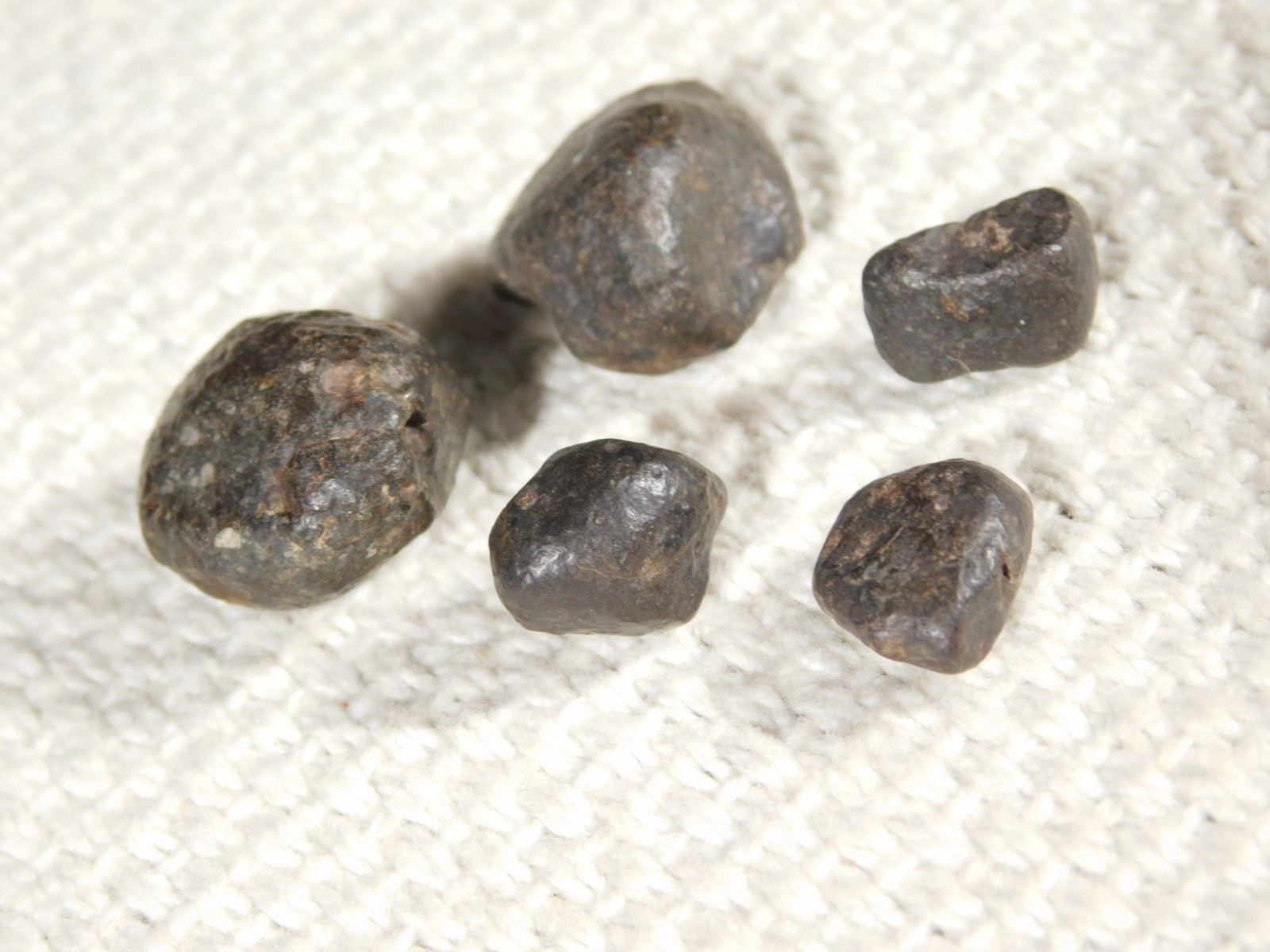 Lot of FIVE! Little 100% Natural N.W.A. Stony METEORITES Algeria 13.2gr