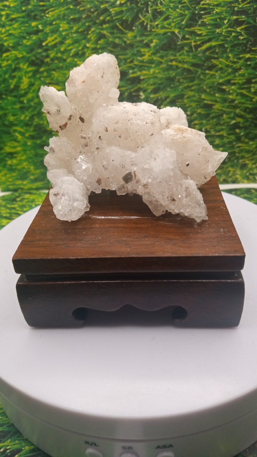 Quartz w/ Halite Mineral on Cherry Wood Stand ~ Carlsbad New Mexico ~