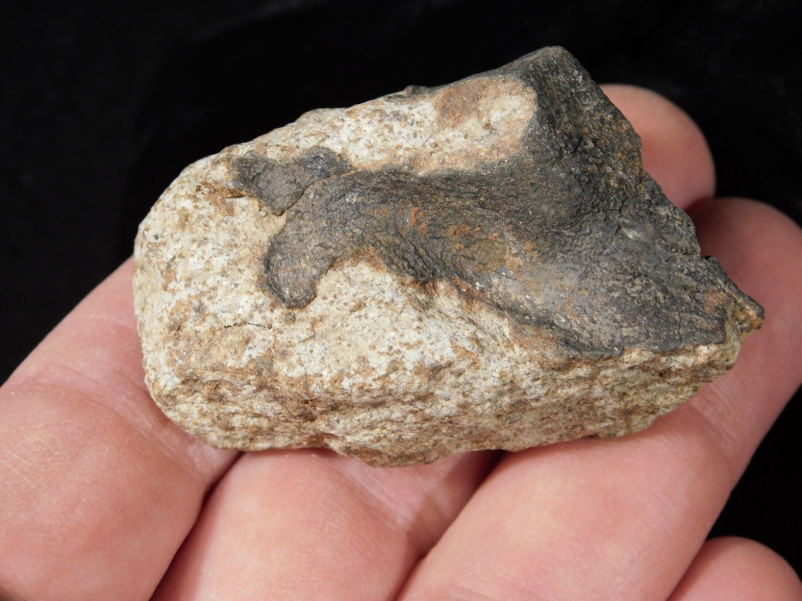 Classified NWA 8245 METEORITE 100% Natural FELL on Erfoud, Morocco 68.1gr
