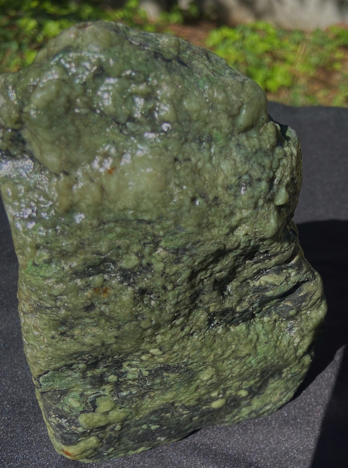 EEL RIVER BOTRYOIDAL JADE LARGE FREE STANDING SPECIMEN 1.39 KG’S or 3.1 LBS