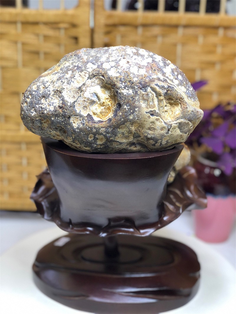10.4LBNatural Agate Crystal Geode Quartz Bowl Wealth Spirit Energy Healing+Stand