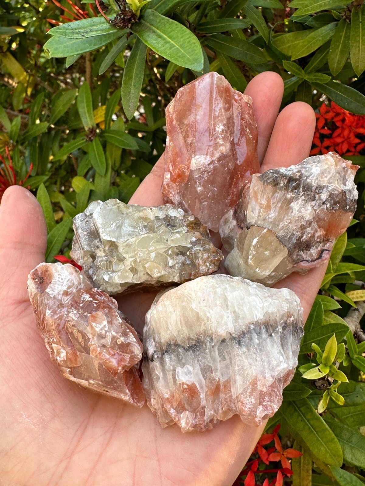 Grade A++ Red/Brown Calcite Rough Natural Stones, 1.5-2.5″ Raw Calcite Red/Brown