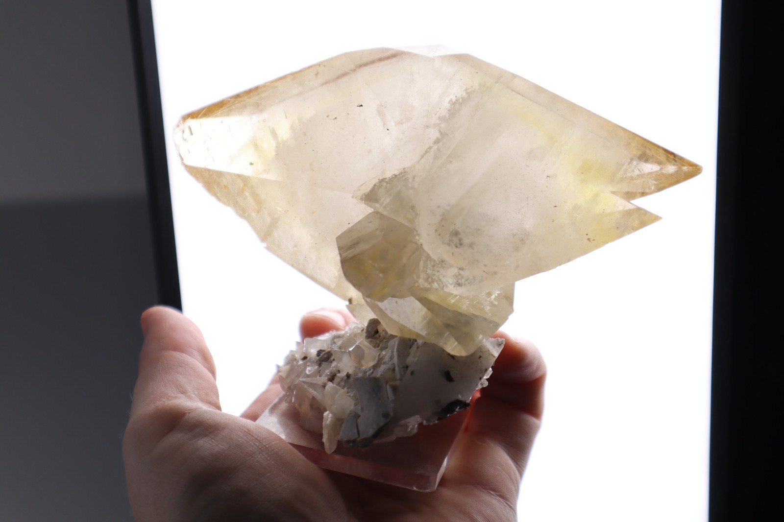 HUGE Elmwood Mine GOLDEN CALCITE Double Terminated Crystal Cluster 645g