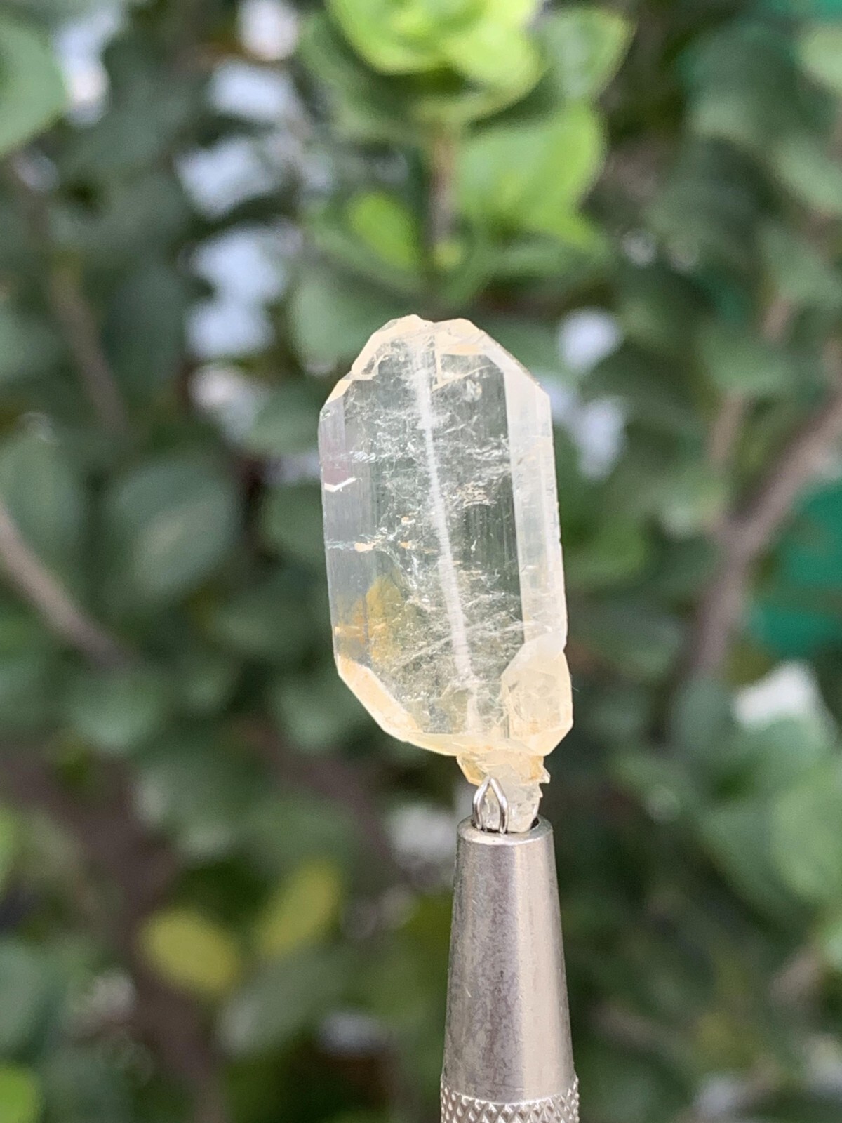 7 Grams Faden Quartz Crystal. size: 2.5*1.5*0.2 cm