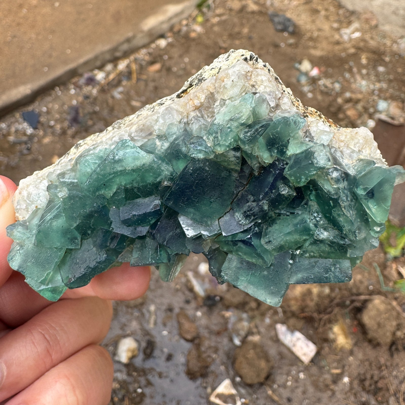 155G Natural cubic green fluorite crystal cluster rough mineral specimen Healing