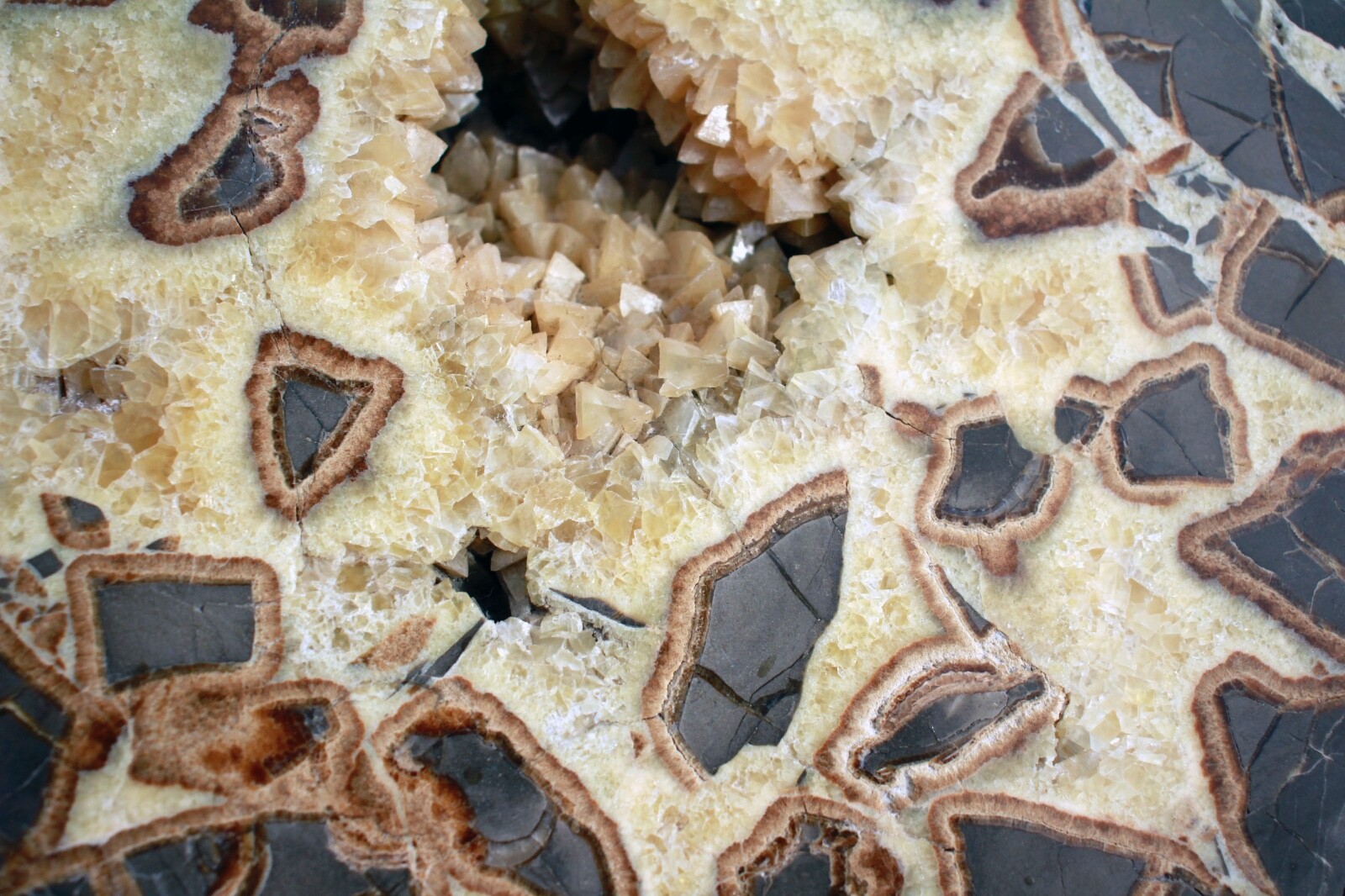 Crystal Filled, Polished Septarian Geode from Utah • 12.1 lbs.
