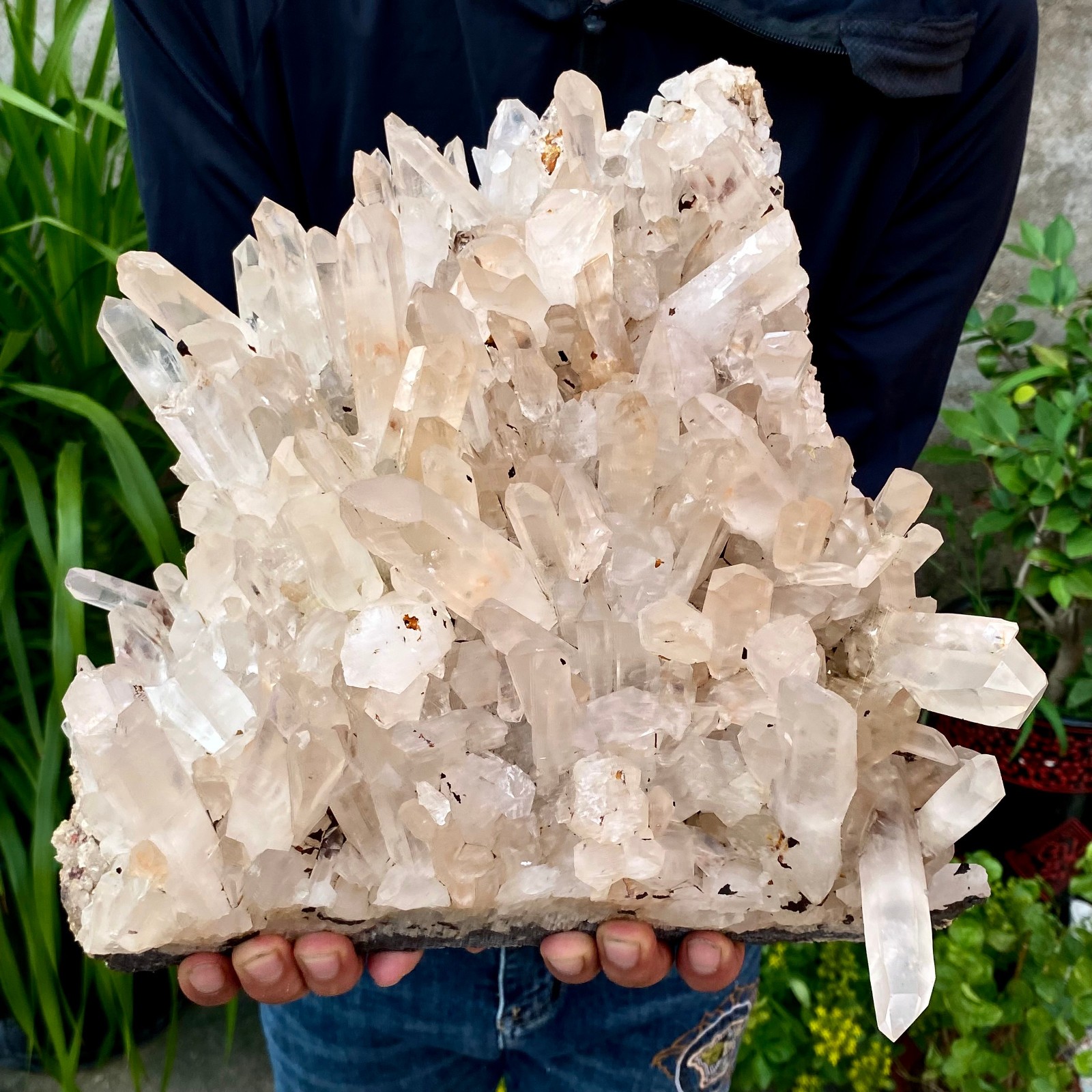 26.89LB Large Natural Clear White Crystal Quartz Cluster Energy Healing Specimen
