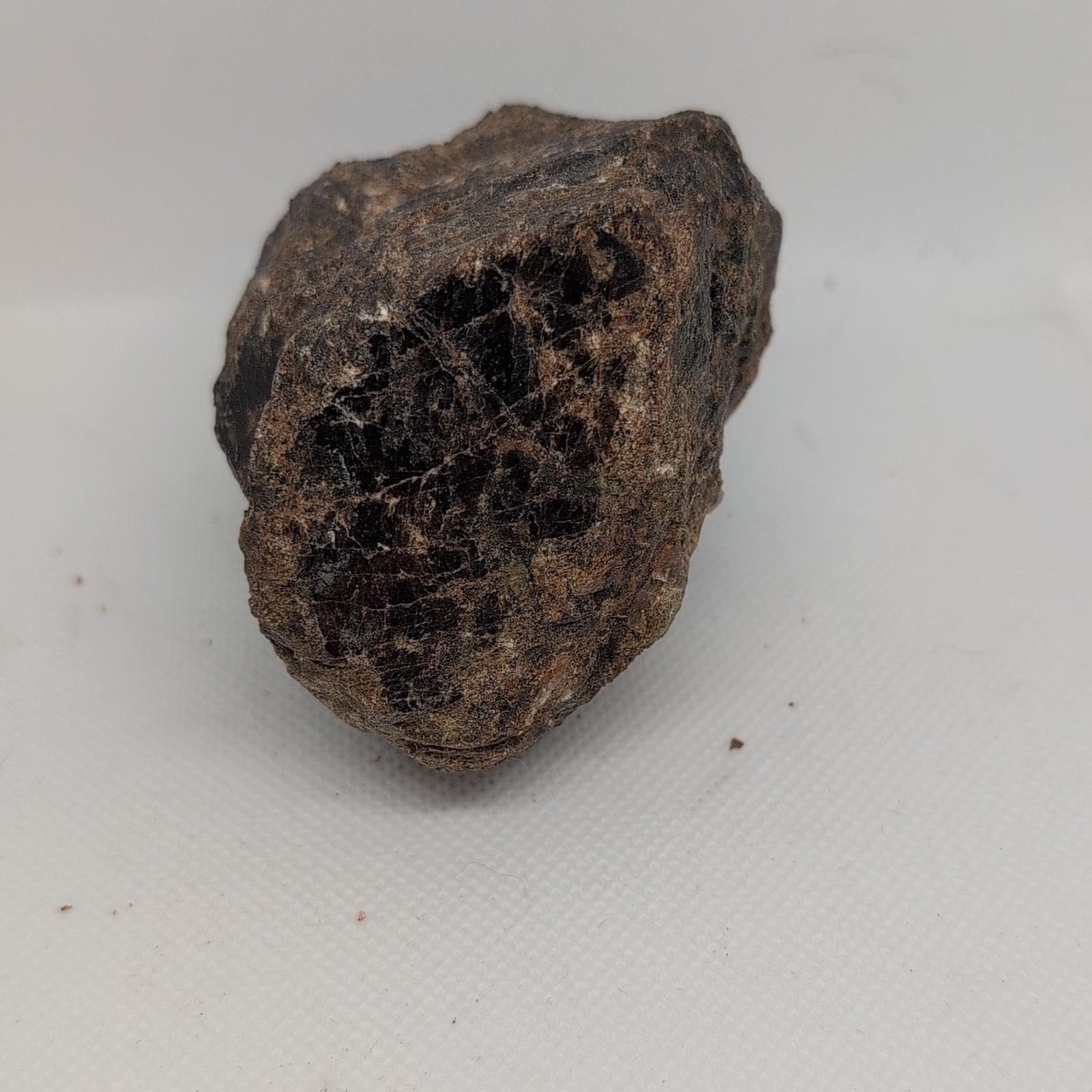 Dark Brown Chalcopyrite Rough Rock Mineral Specimen for Display Collection