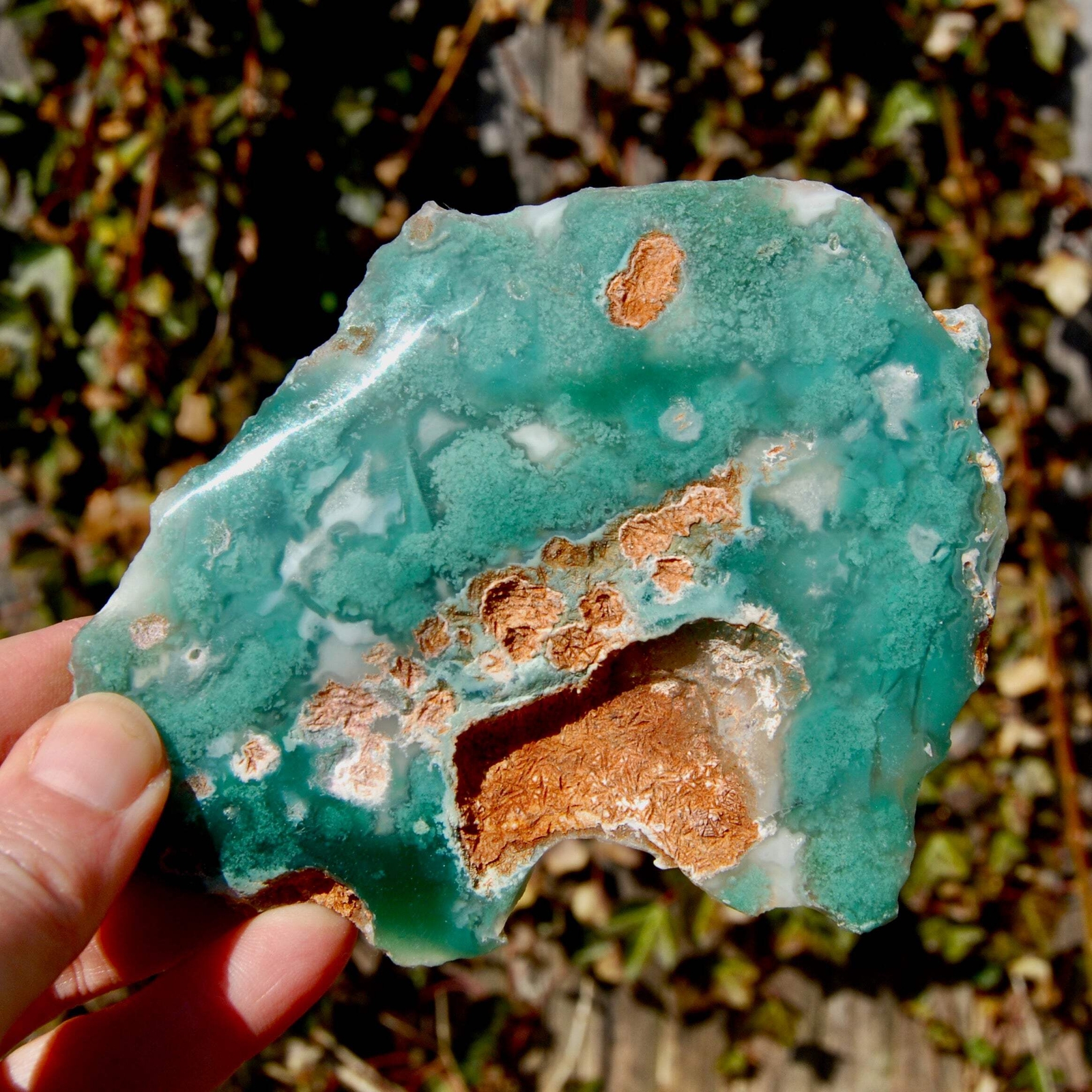 5.25in 237g Large Mtorolite Chrome Chalcedony Crystal Slice, Zimbabwe mtl4