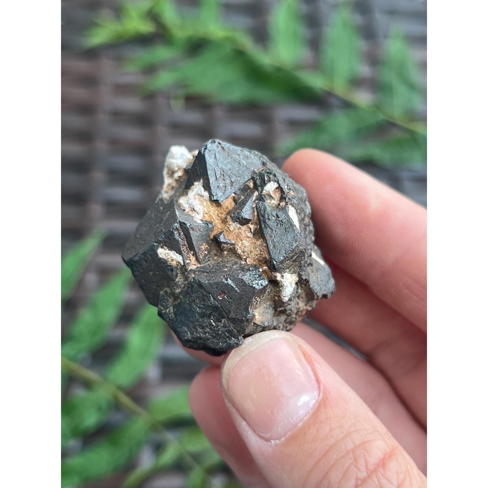 Raw Octahedral Magnetite Crystal Cluster from Utah | Natural Magnetite Specimen