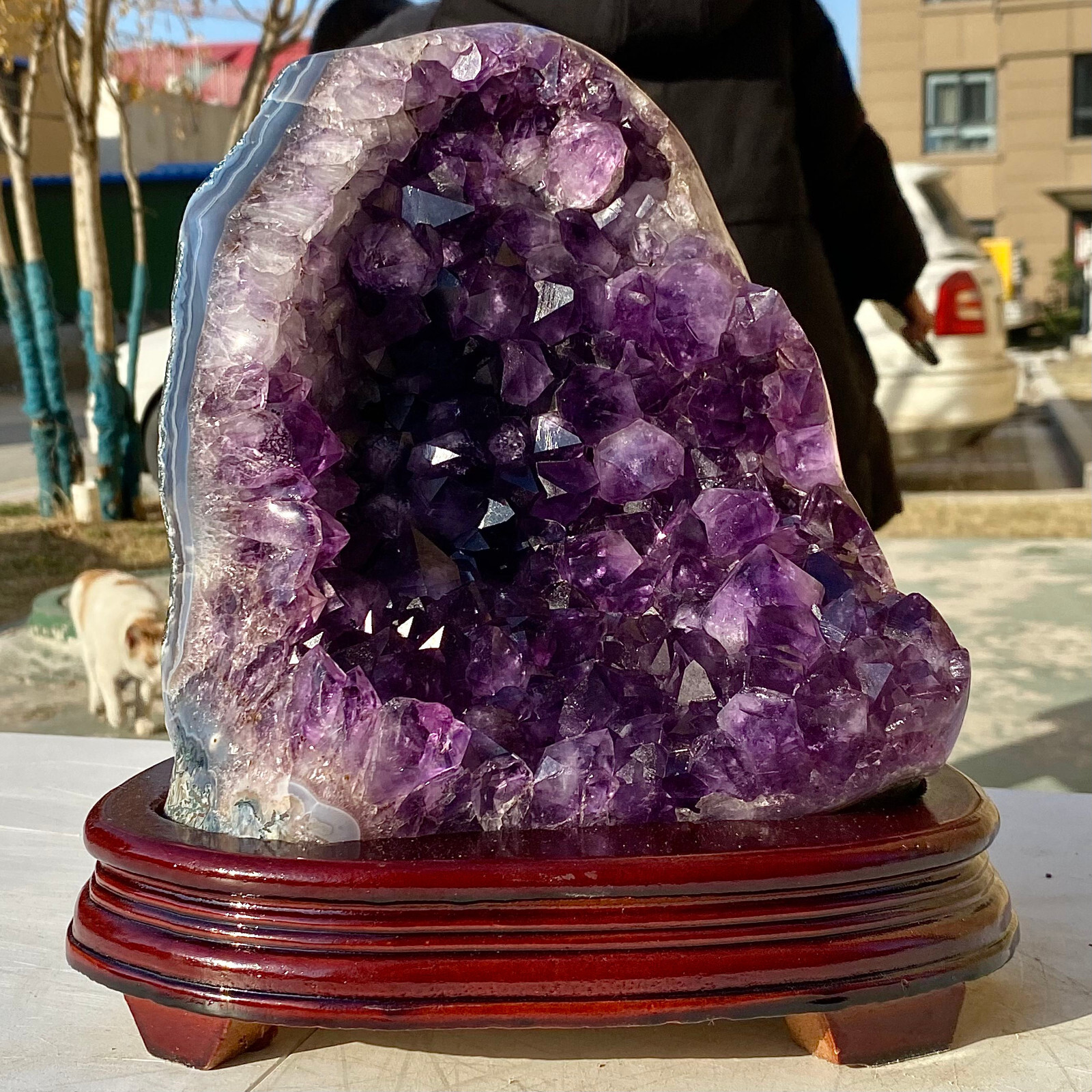 13.09LB Natural Brazilian Amethyst Crystal Cave Stone Cluster Quartz Geode Heal
