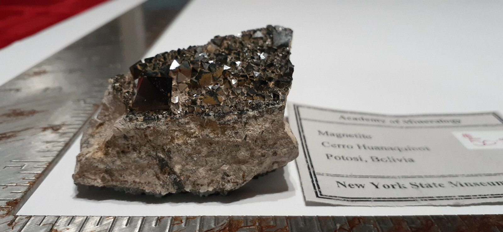 2 1/2″ X 2 1/4″ Magnetite 2 sided Display Specimen, Potosi, Bolivia – NYS Museum