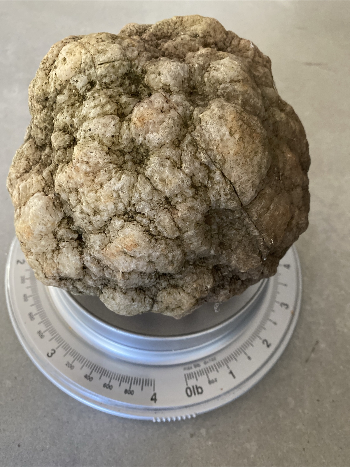 8 LBS + Whole GEODES AGATES NODULES Lapidary Uncut Semi to Solid Whole Quatz