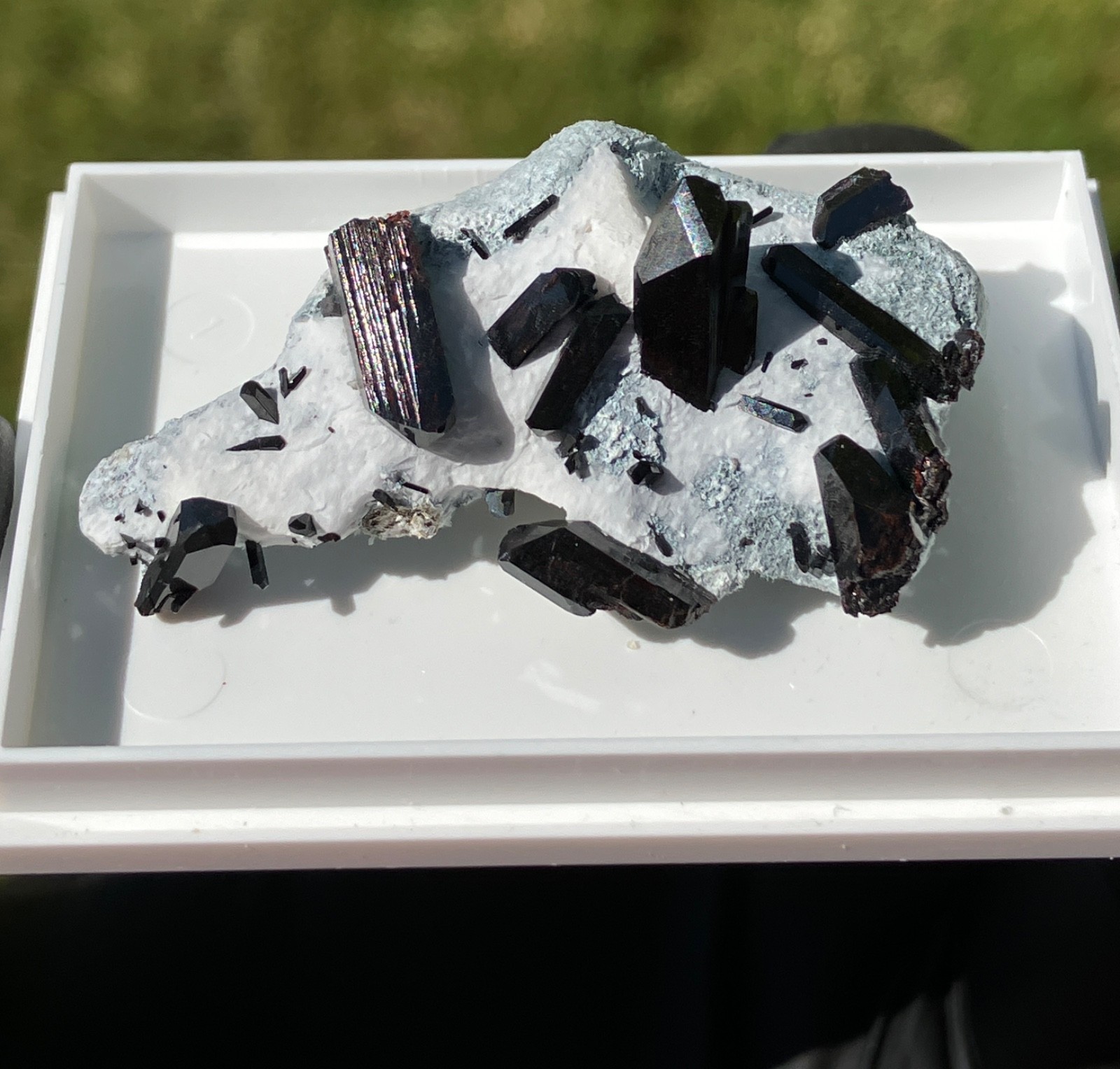 Neptunite Benitoite Mine, New Idria District, San Benito County, California, USA