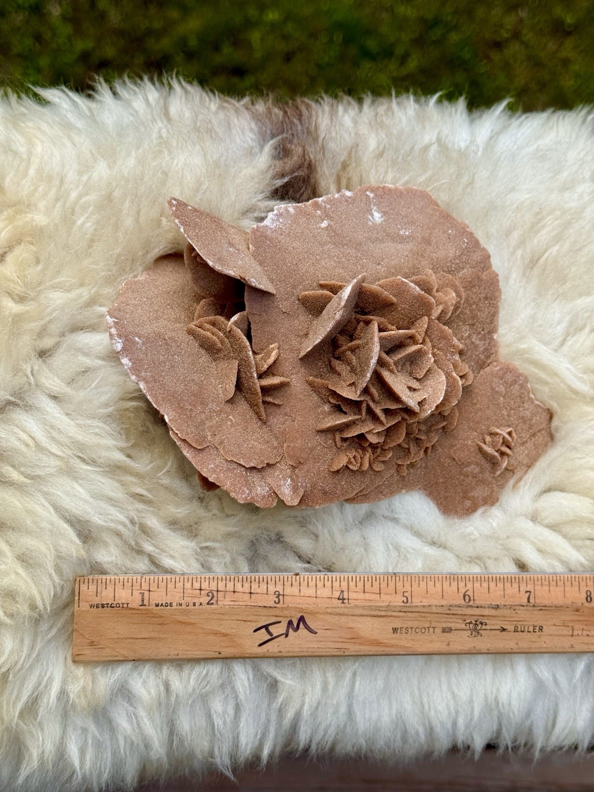 Large Desert Rose Selenite Gypsum Cluster 7” Natural Mineral Specimen 987g