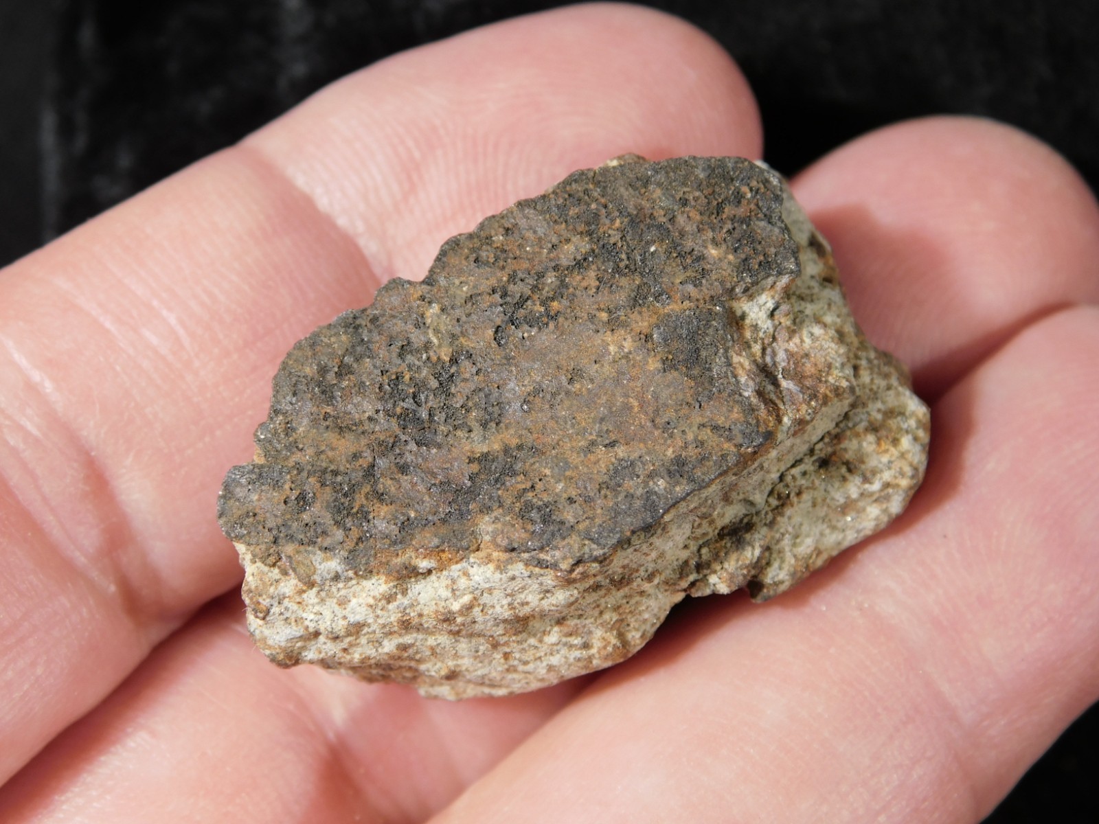 Classified NWA 8245 METEORITE Spots of Dark Fusion Crust! Erfoud, Morocco 21.0gr