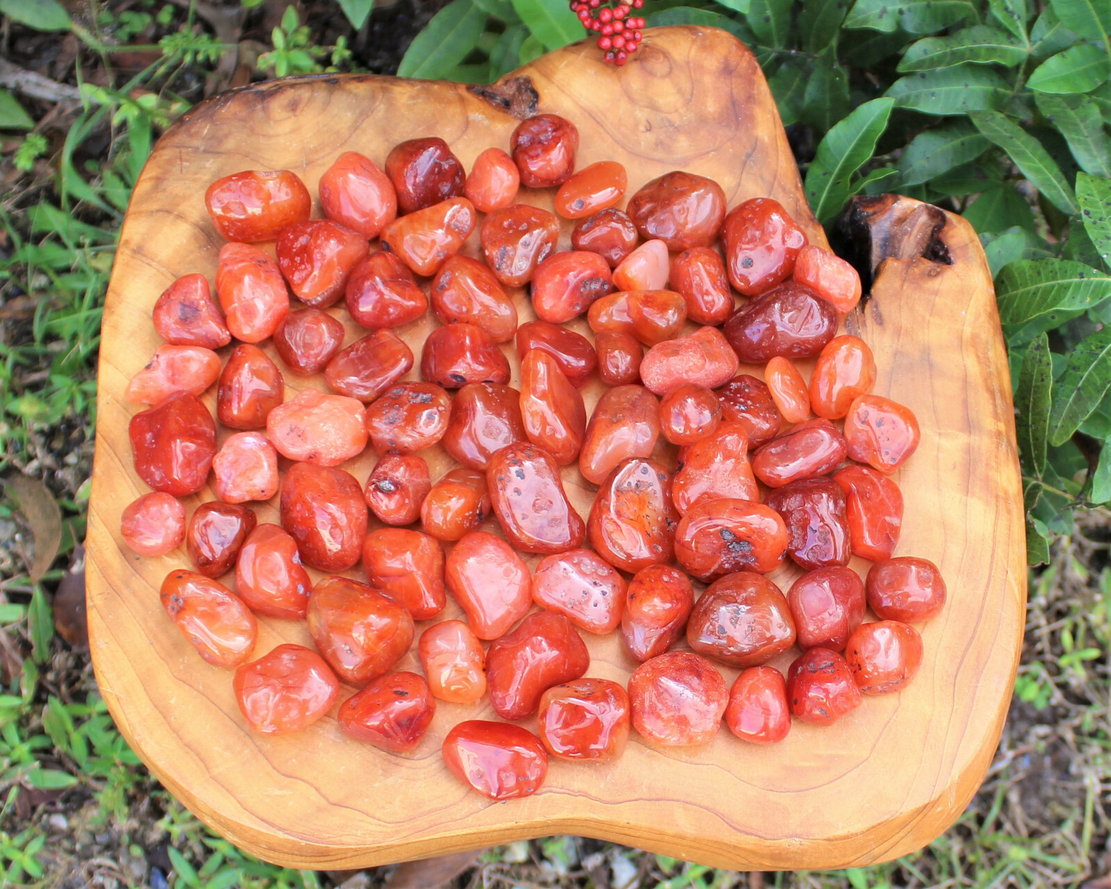 5 Carnelian Tumbled Stones, Medium (Crystal Healing Gemstone Reiki) US Seller
