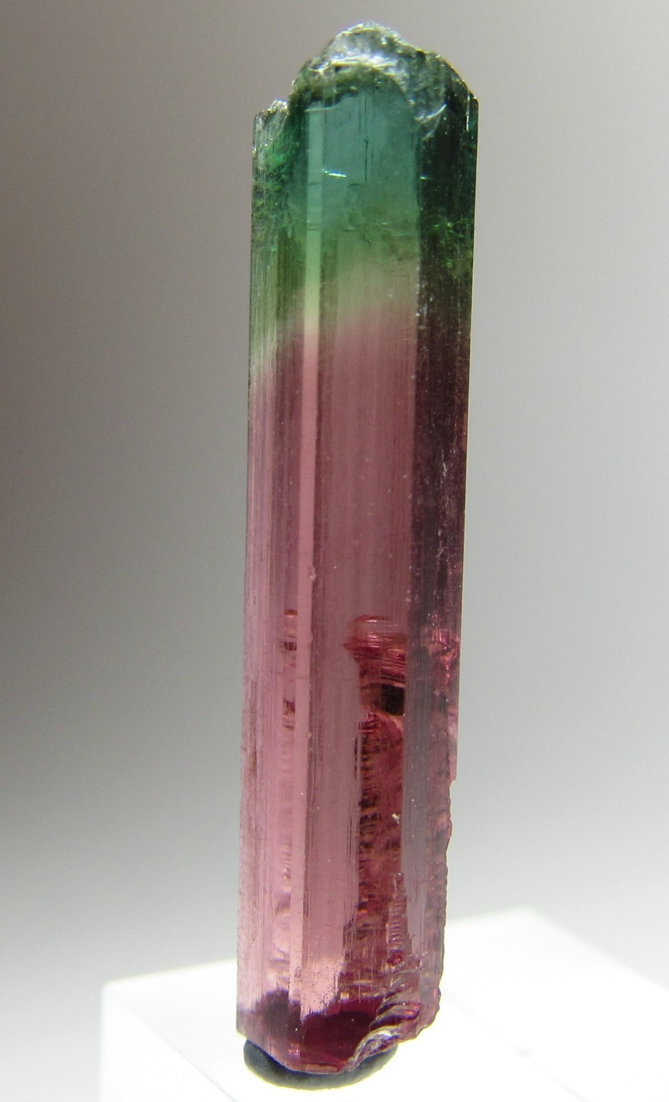 PHENOMENAL RARE FACET GRADE GEM TOURMALINE CRYSTAL!!! MORRO REDONDO BRAZIL