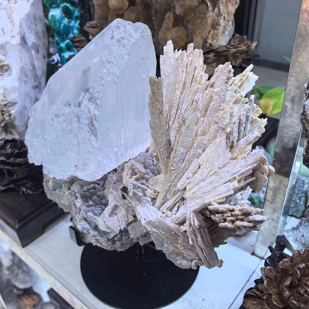 17LB Rare Natural Clear Selenite Gypsum Crystal Symbiosis Mineral Specimen