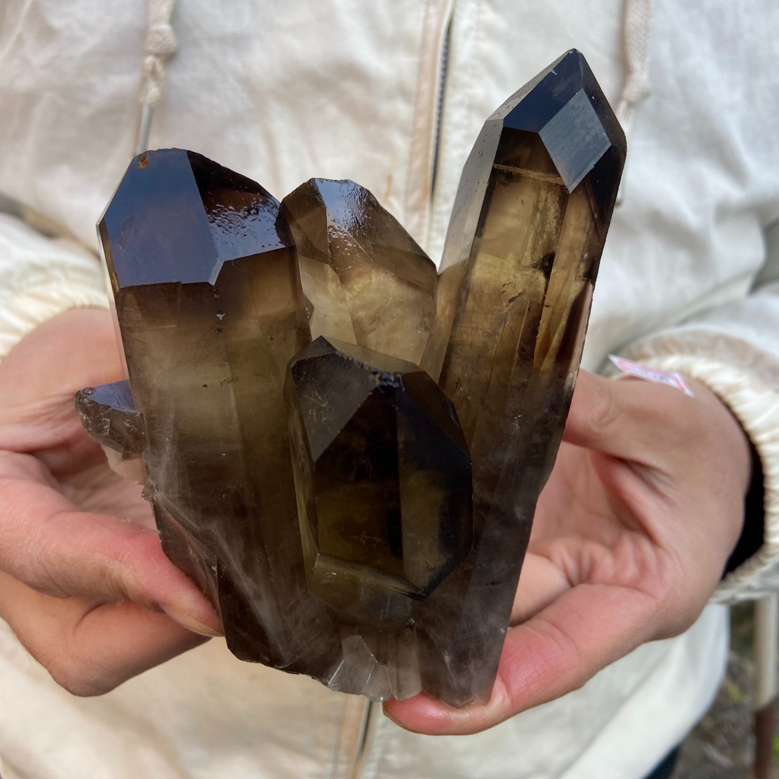 1.8LB Natural Smoky Black Quartz Cluster Crystal raw Specimen Healing