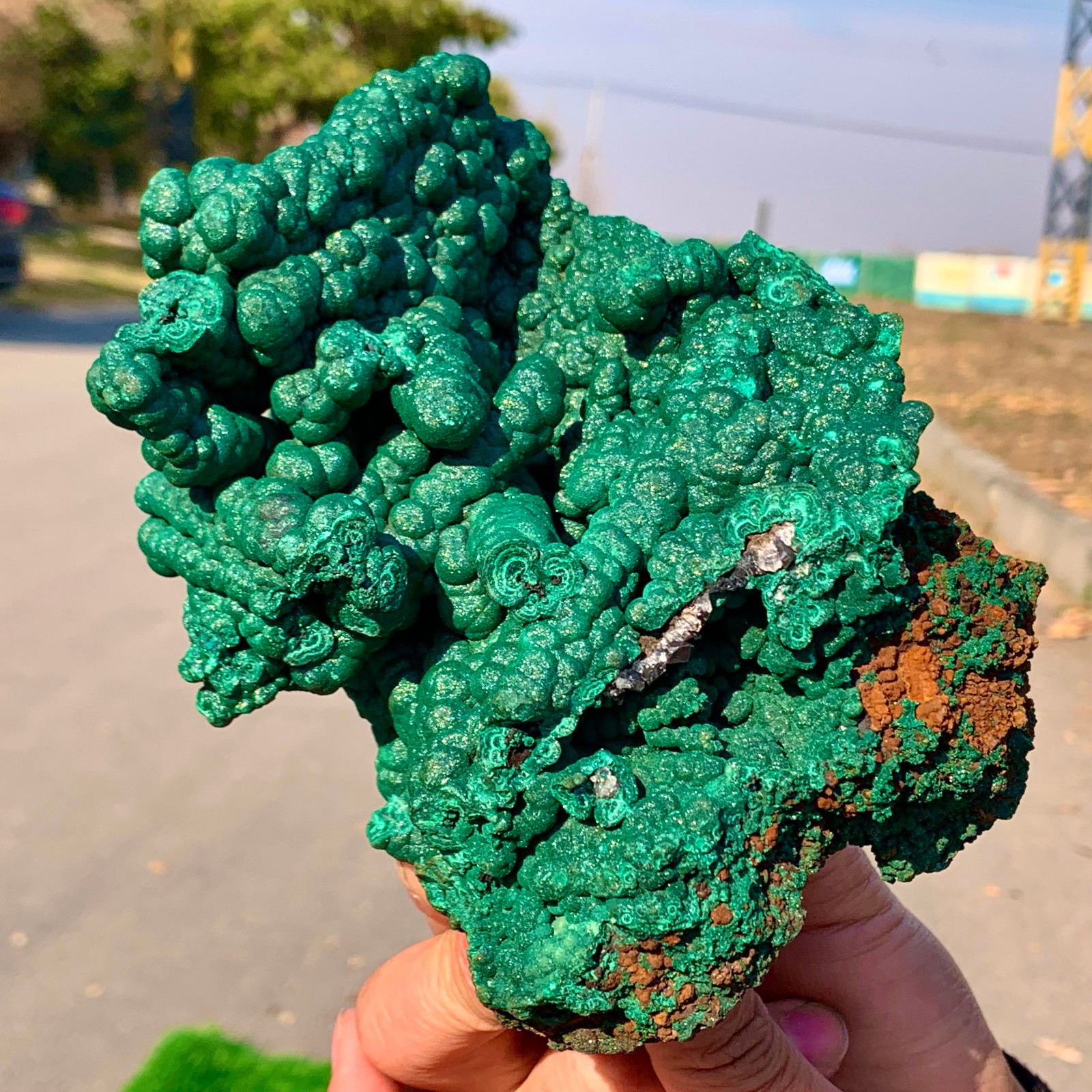 2.2LB Natural VELVET Azurite/Malachite cat’s eye specimen crystal mineral-Congo
