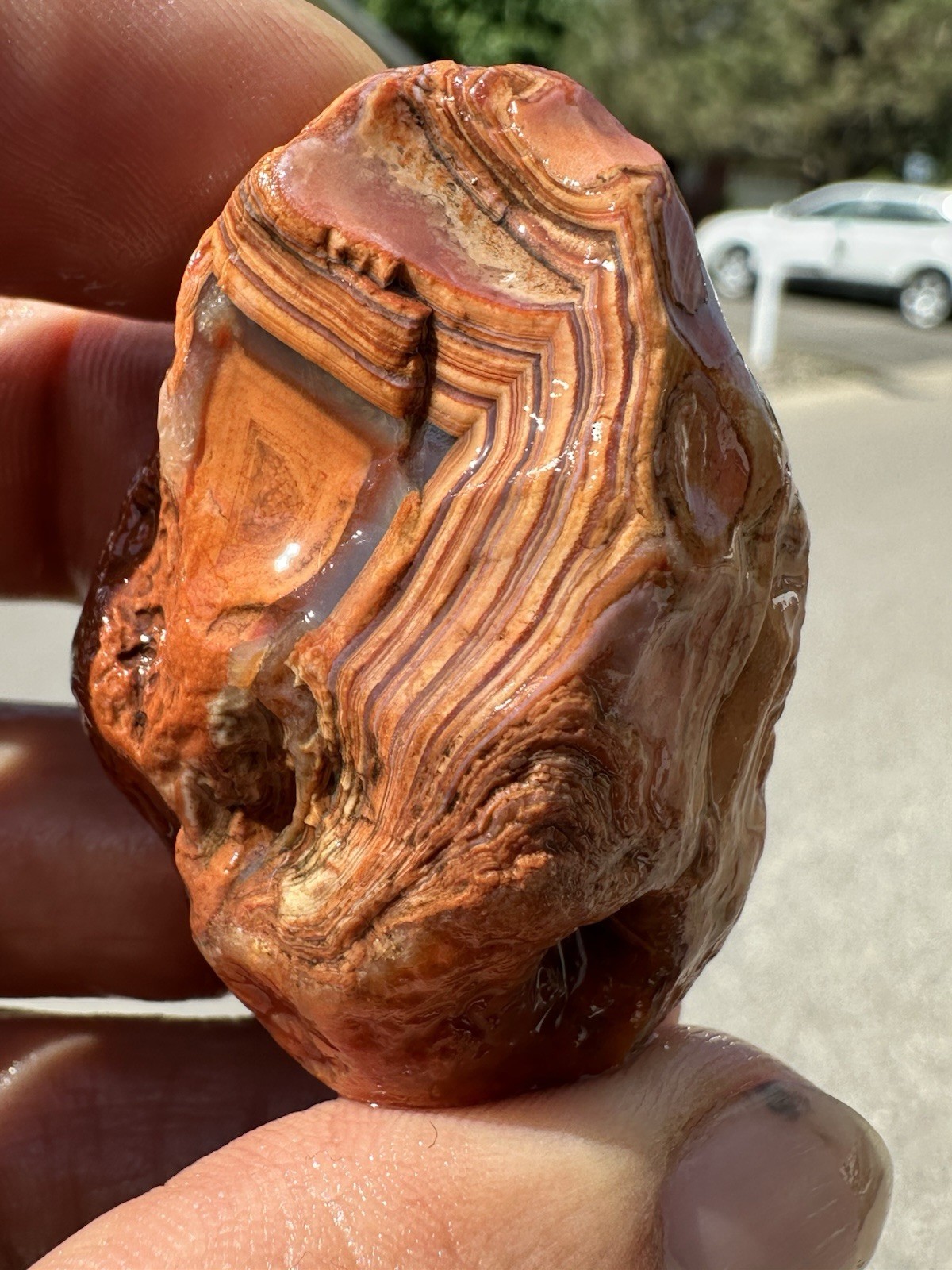 1.45 oz Lake Superior Agate Rare Chalky Opaque Fire Canyon Paint Agate (DEAL)