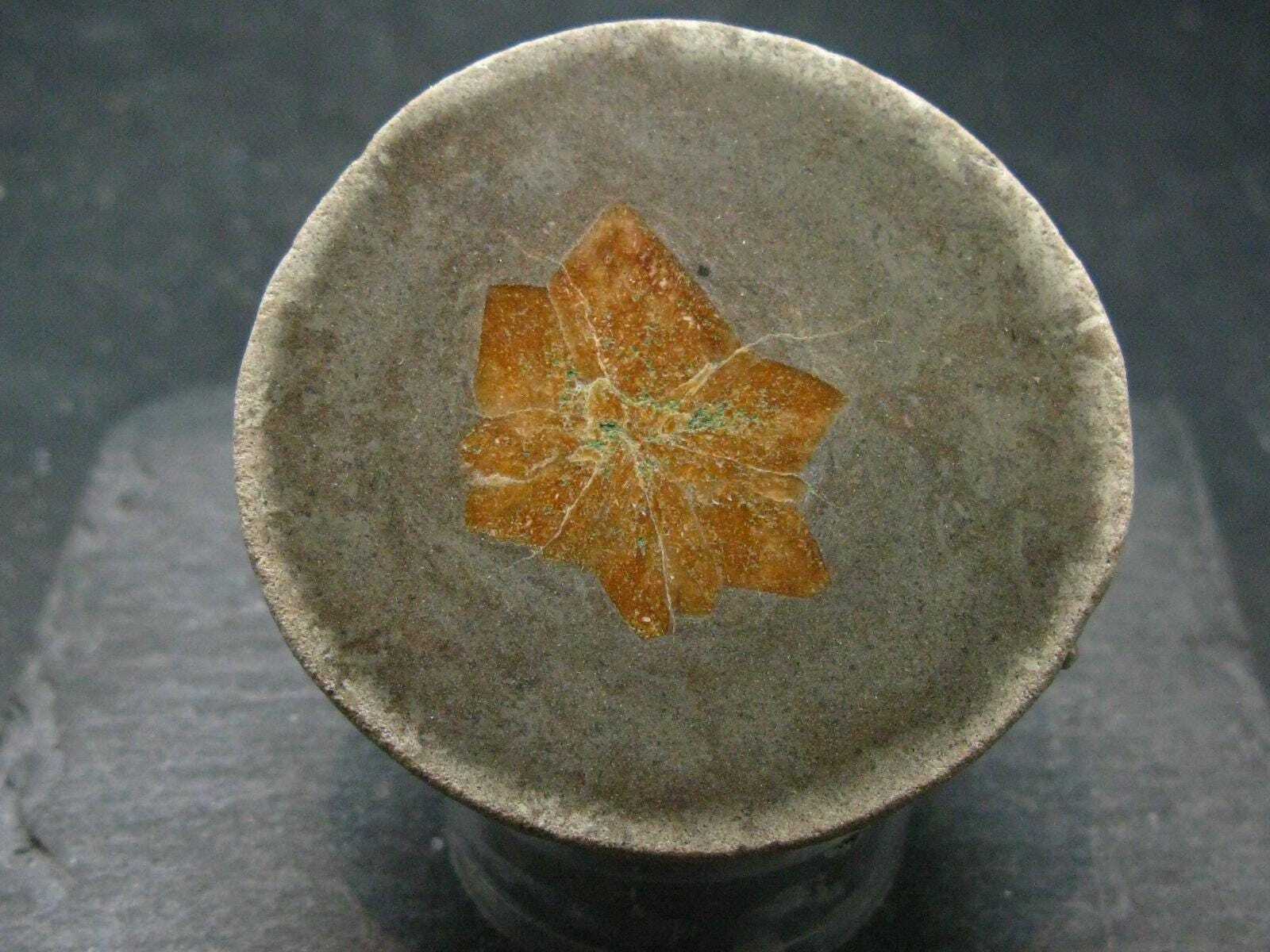 Glendonite (Ikaite after Calcite) Crystal From Russia – 2.0″ – 95.33 Grams