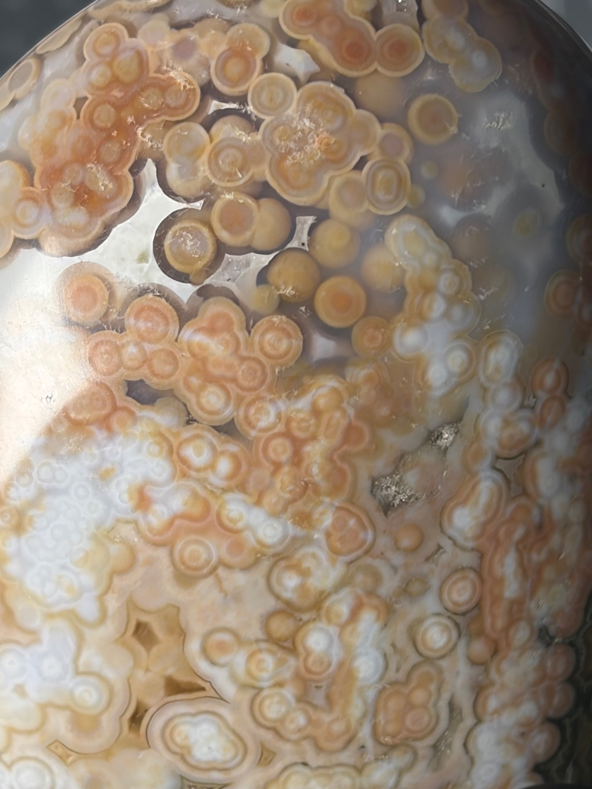 Beautiful Ocean Jasper Free Form Orbs Colorful