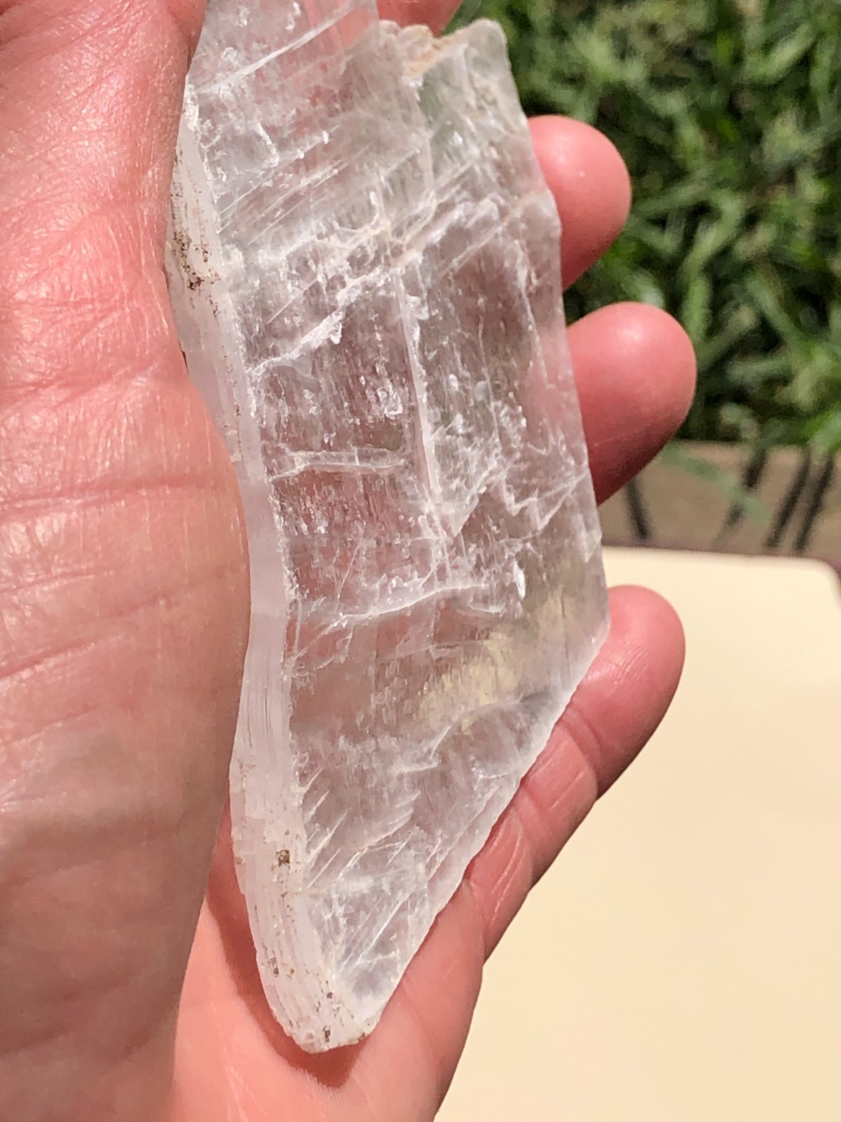 Lot of 5 Natural selenite gypsum mineral specimens 208.8 grams healing