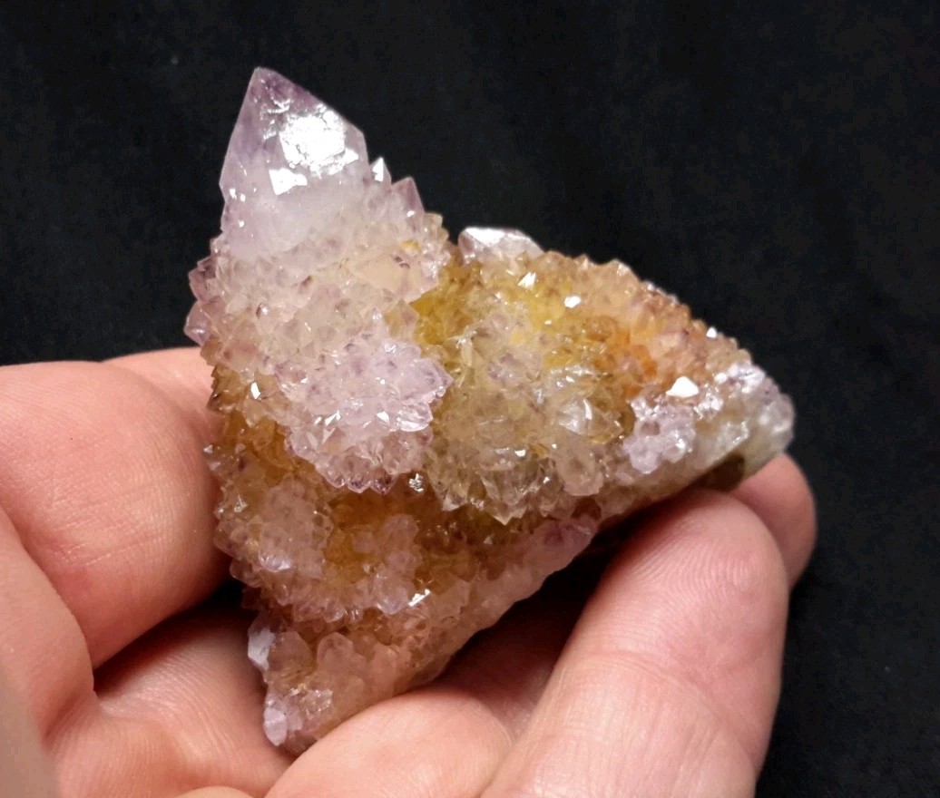 2″ CACTUS QUARTZ AMETHYST AMETRINE from Mpumalanga, South Africa