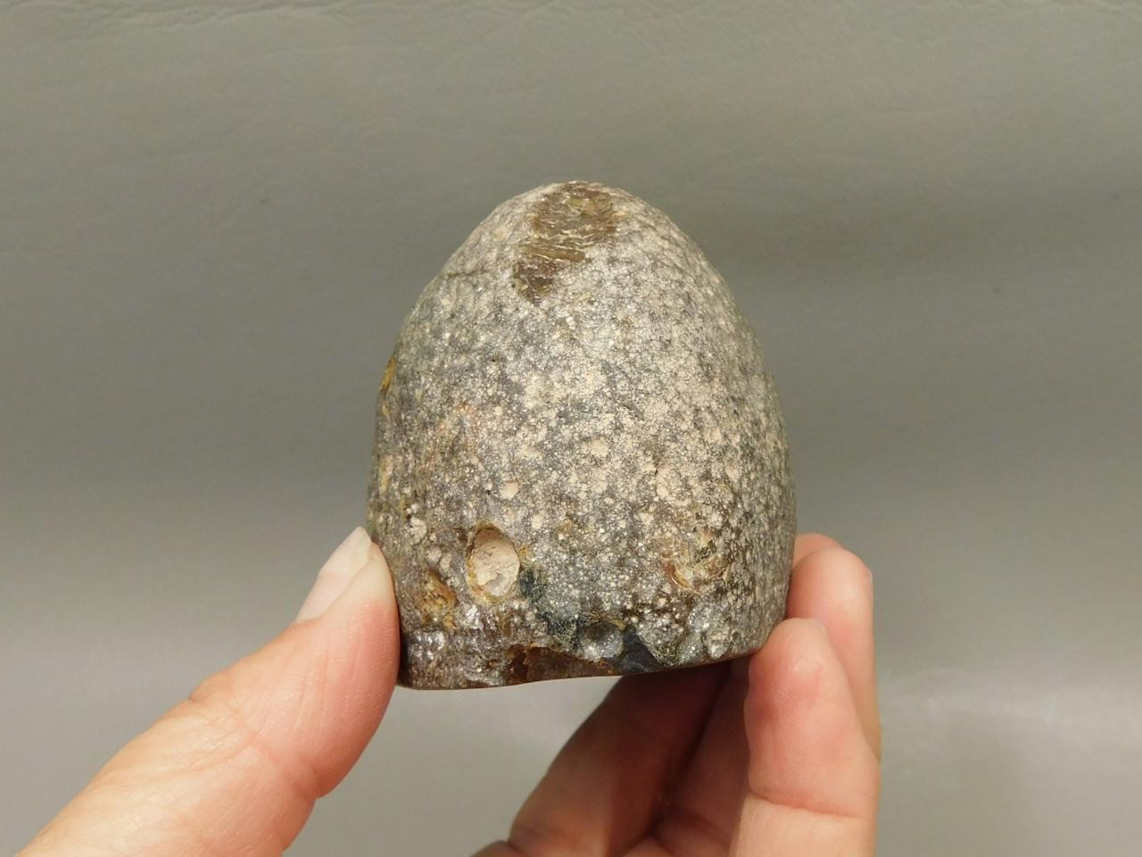 Brazilian Piranha Agate Collector Polished Rock Nodule #O15