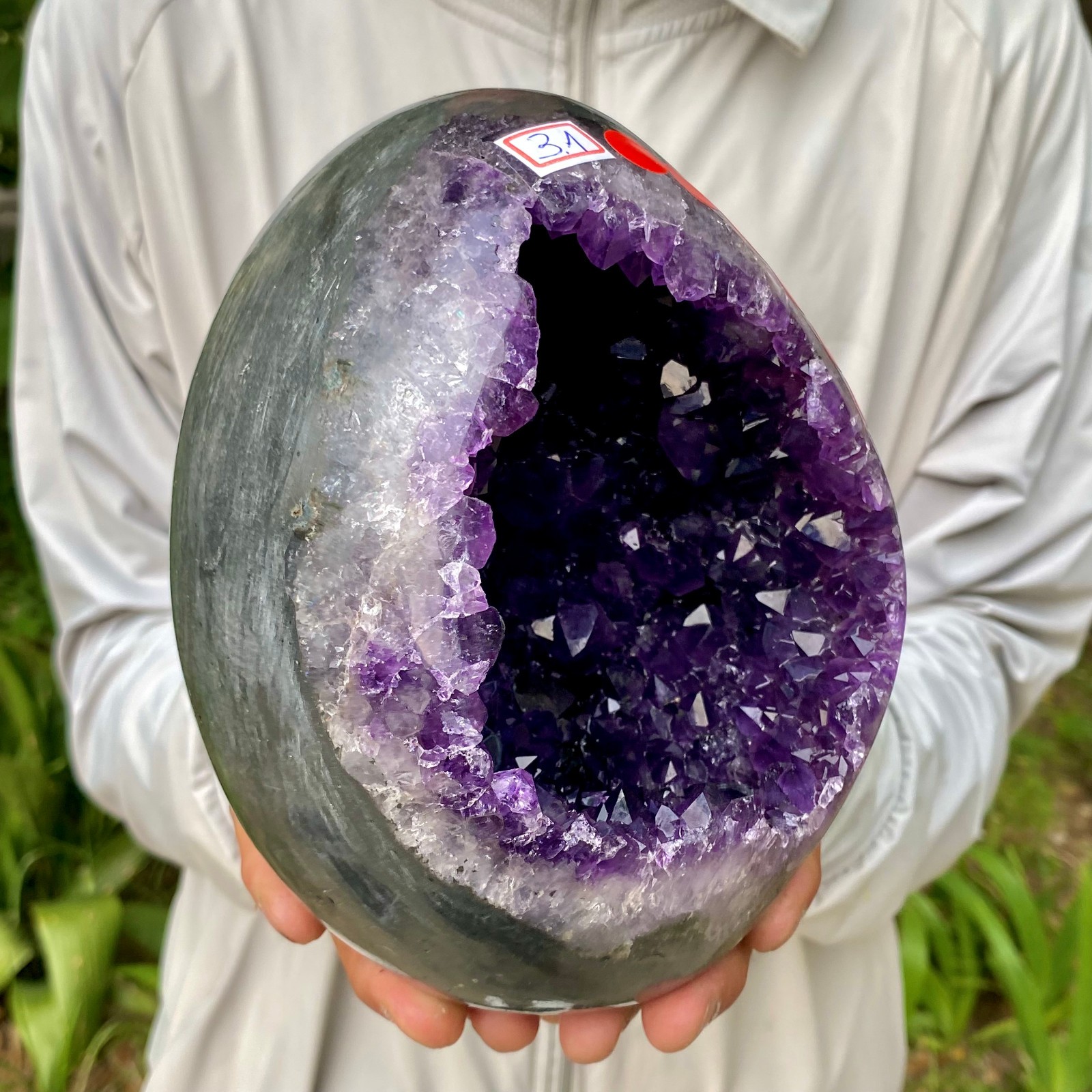 6.81LB High quality Natural Amethyst geode quartz crystal Dinosaur egg healing