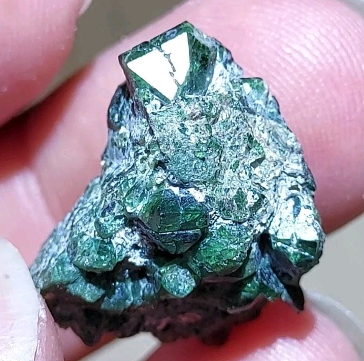 GORGEOUS ALEXANDRITE CHRYSOBERYL CLUSTER FROM ZIMBABWE