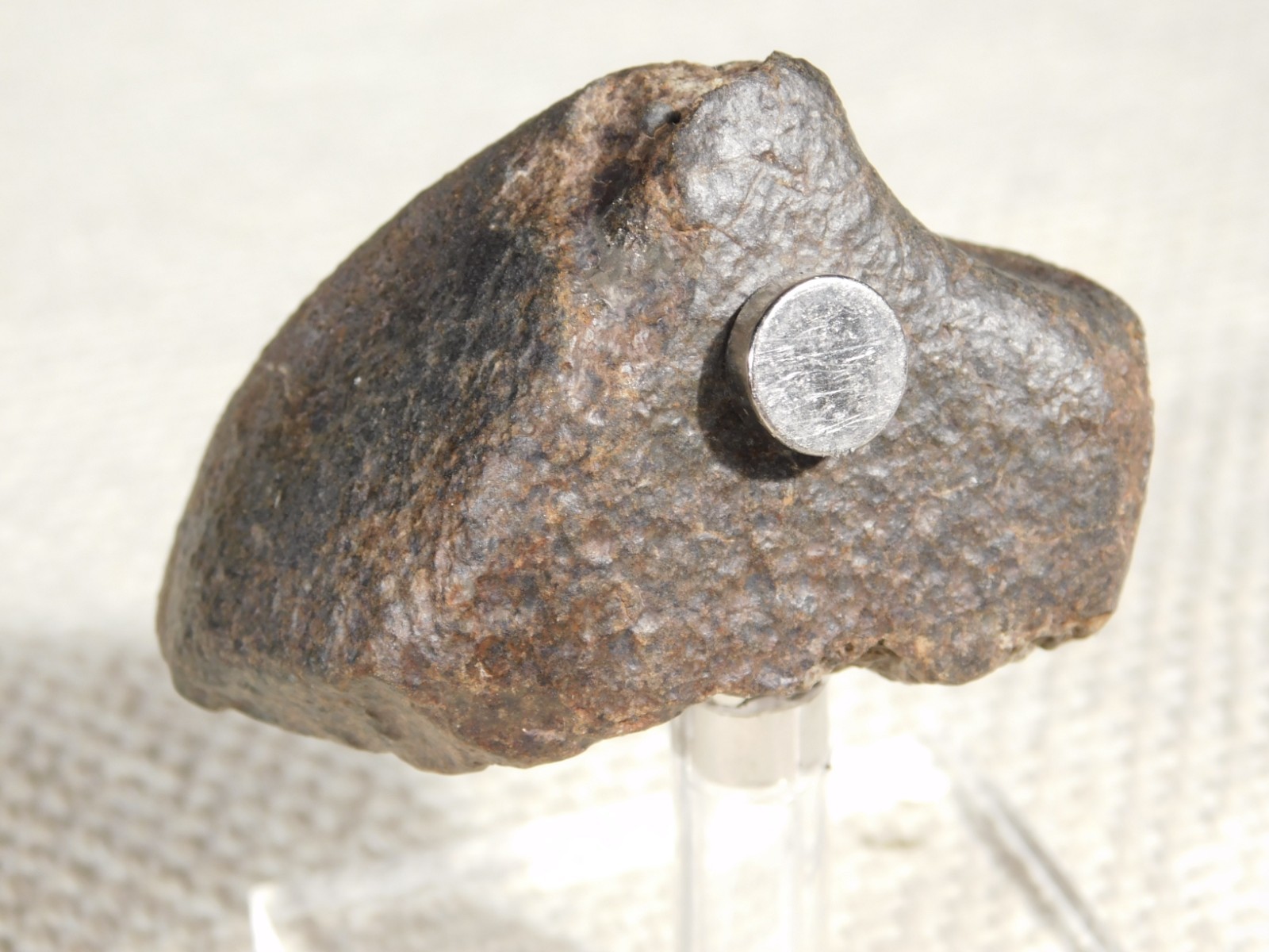 Stony N.W.A. METEORITE 100% Natural FELL in Libya 98.4gr