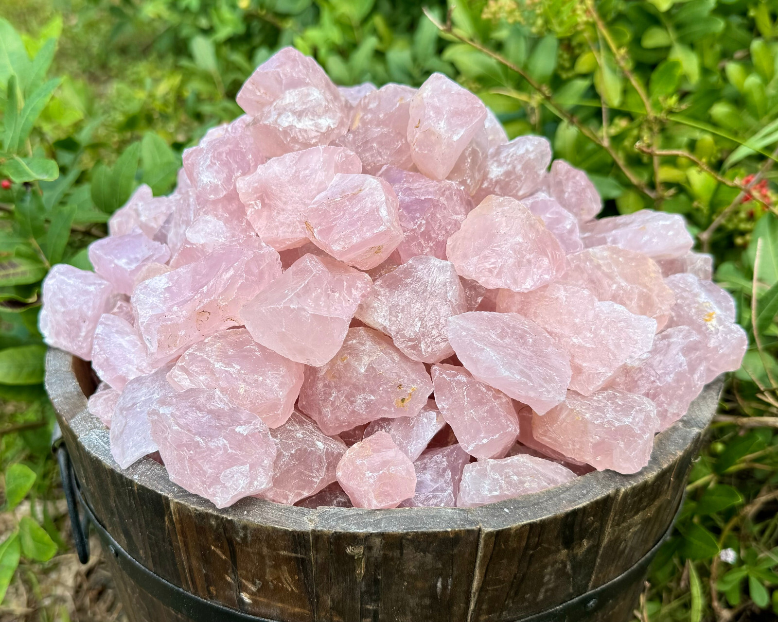 11 lb HUGE Wholesale Bulk Lot Natural Rough Rose Quartz Crystals, Raw Love Stone