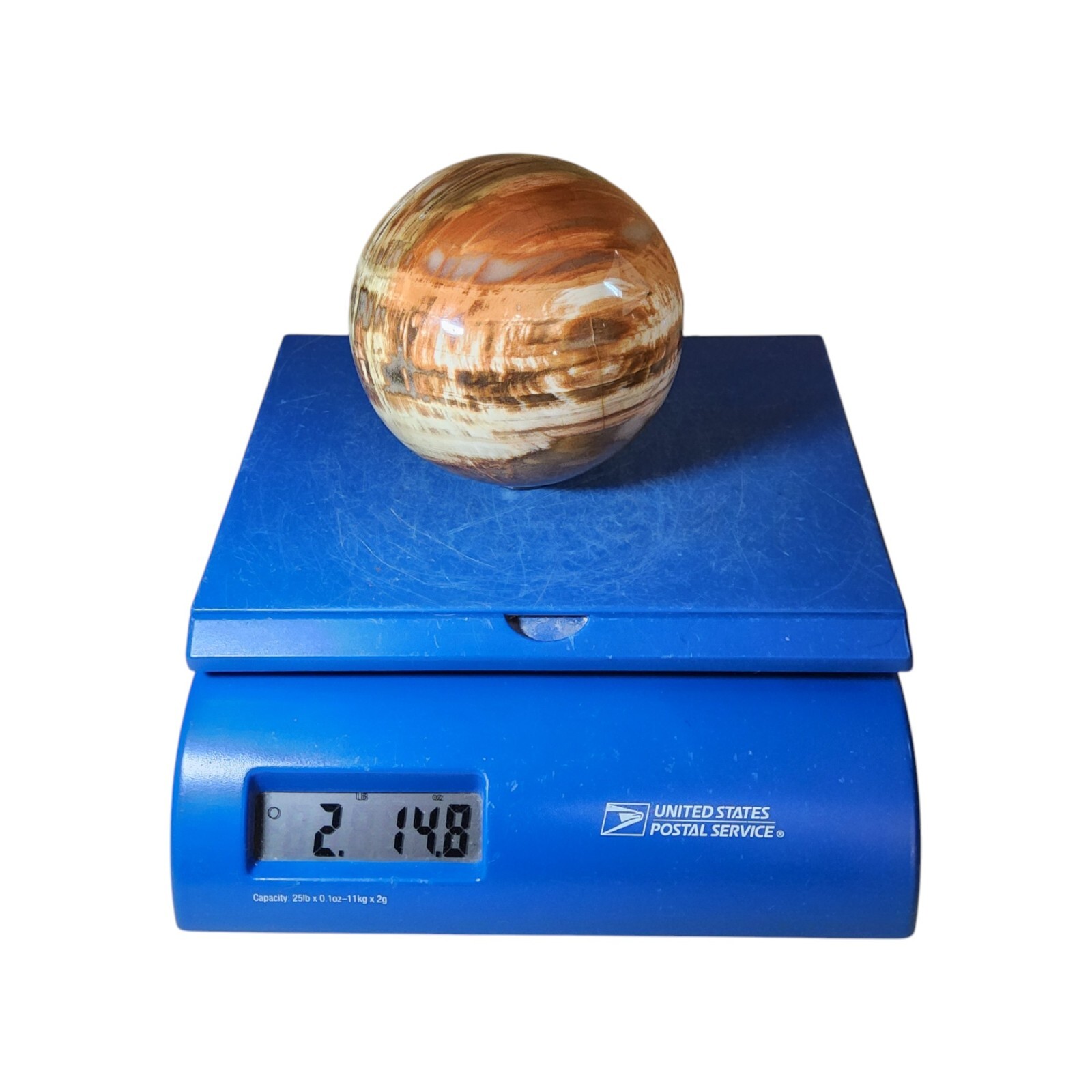 Petrified Wood, 3.75″, sphere, display specimen, #R-6529