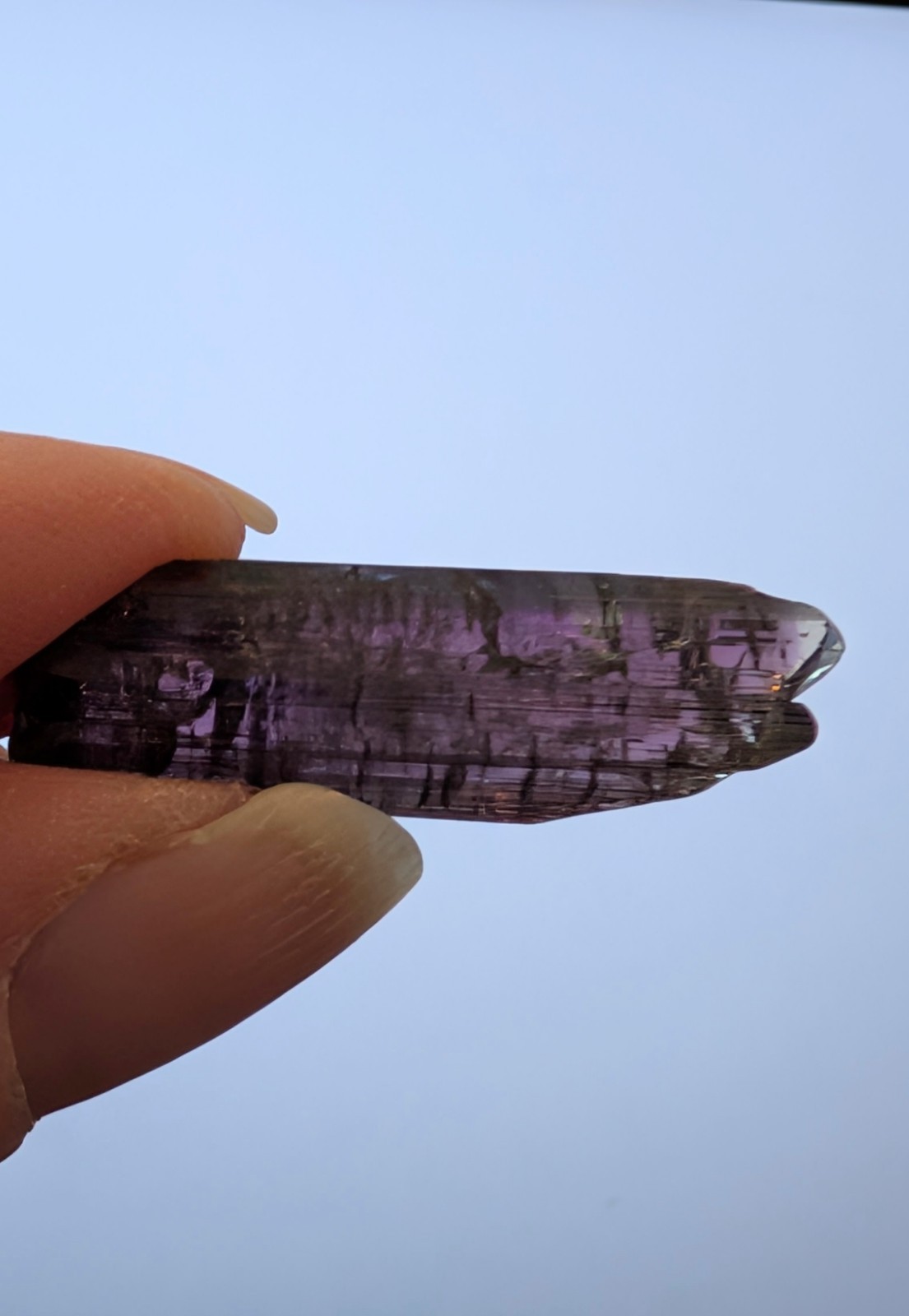 24.4 ct Natural Tanzanite Crystal – Strong Pleo Blue/Purple/Green – Unheated