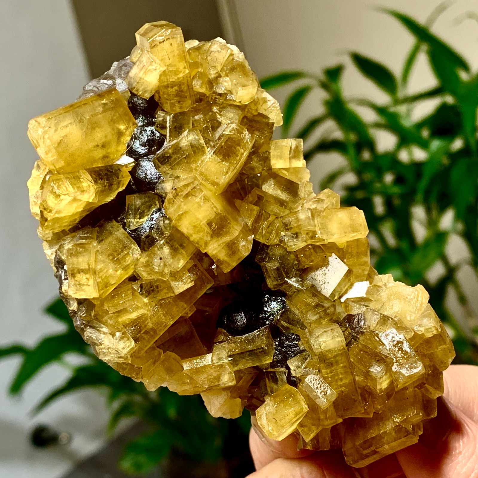 300G Shiny Golden Cuboid Barite Crystal Based on the Purple Spherical Fluorite