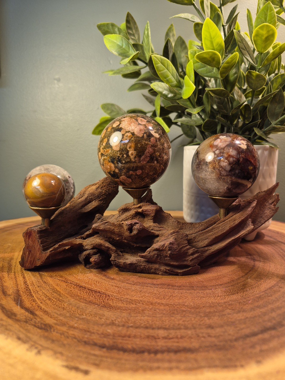 Drift Wood Sphere Holder XS – MED 4 Spheres