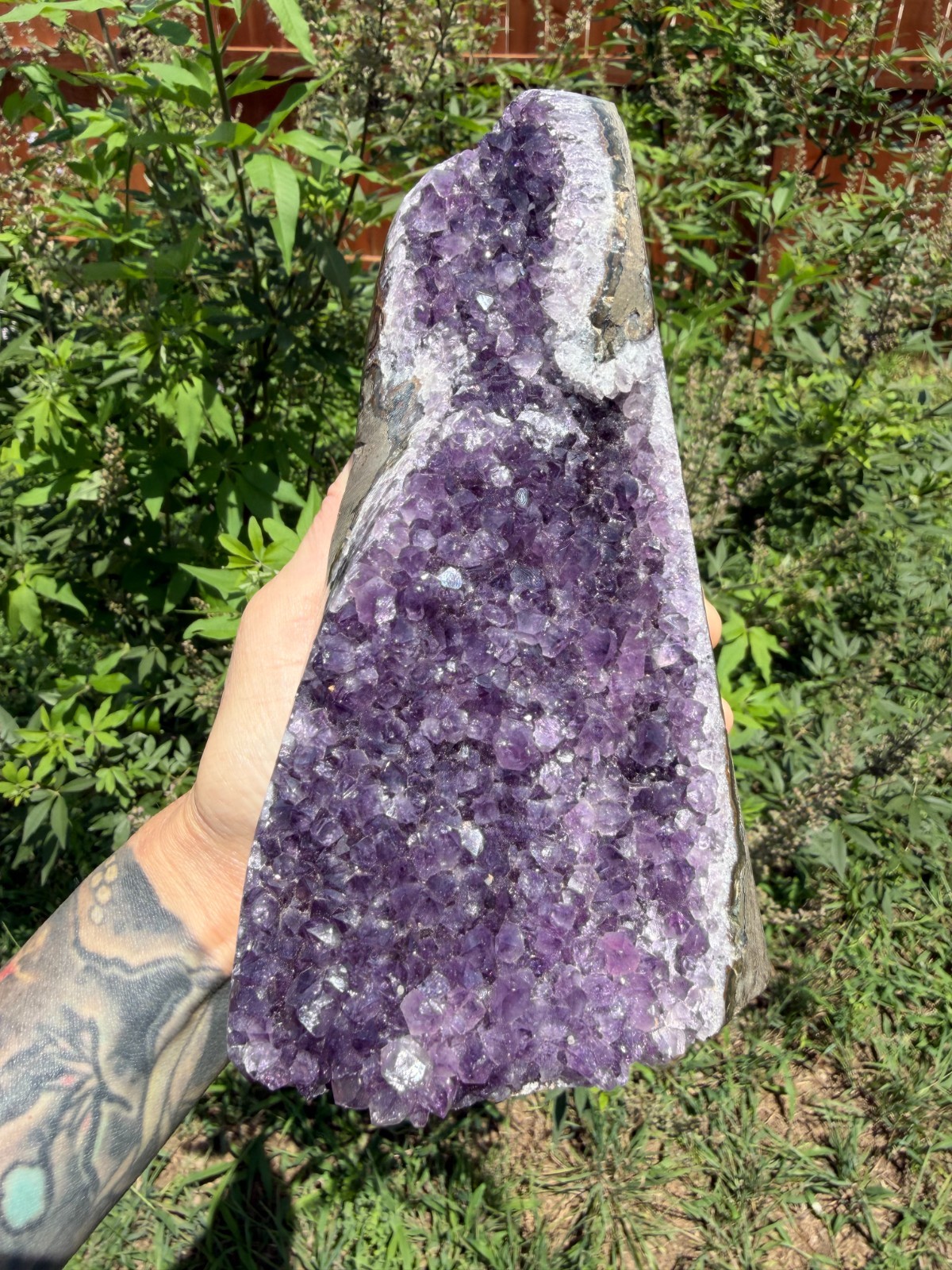 Uruguayan Amethyst Cluster 4lb 1.5oz 7.25″ Cut Base Free-Standing One of a Kind