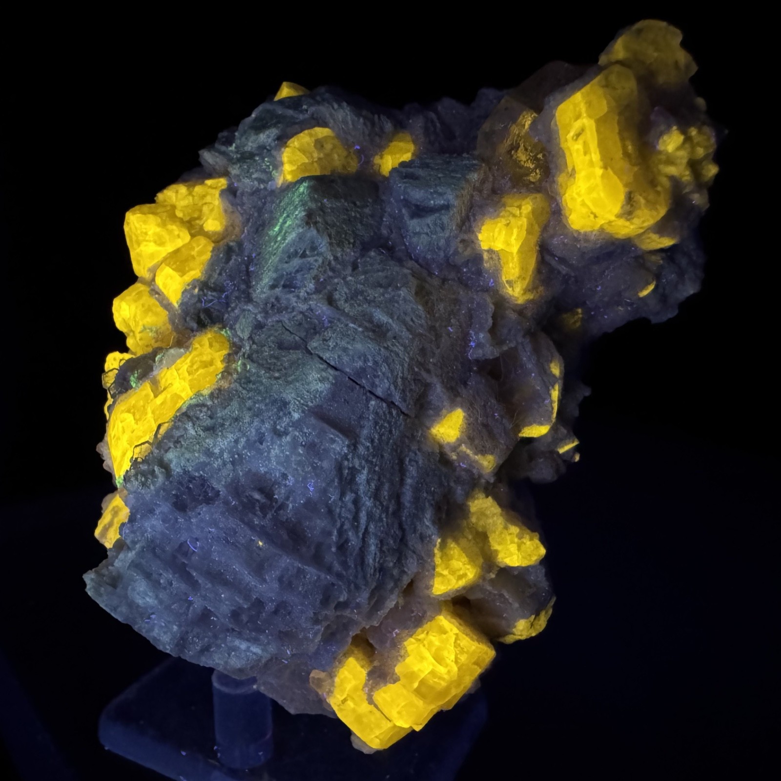 Fine Fluorescent Fluorapatite Crystals on Microcline: Himalaya mine, California