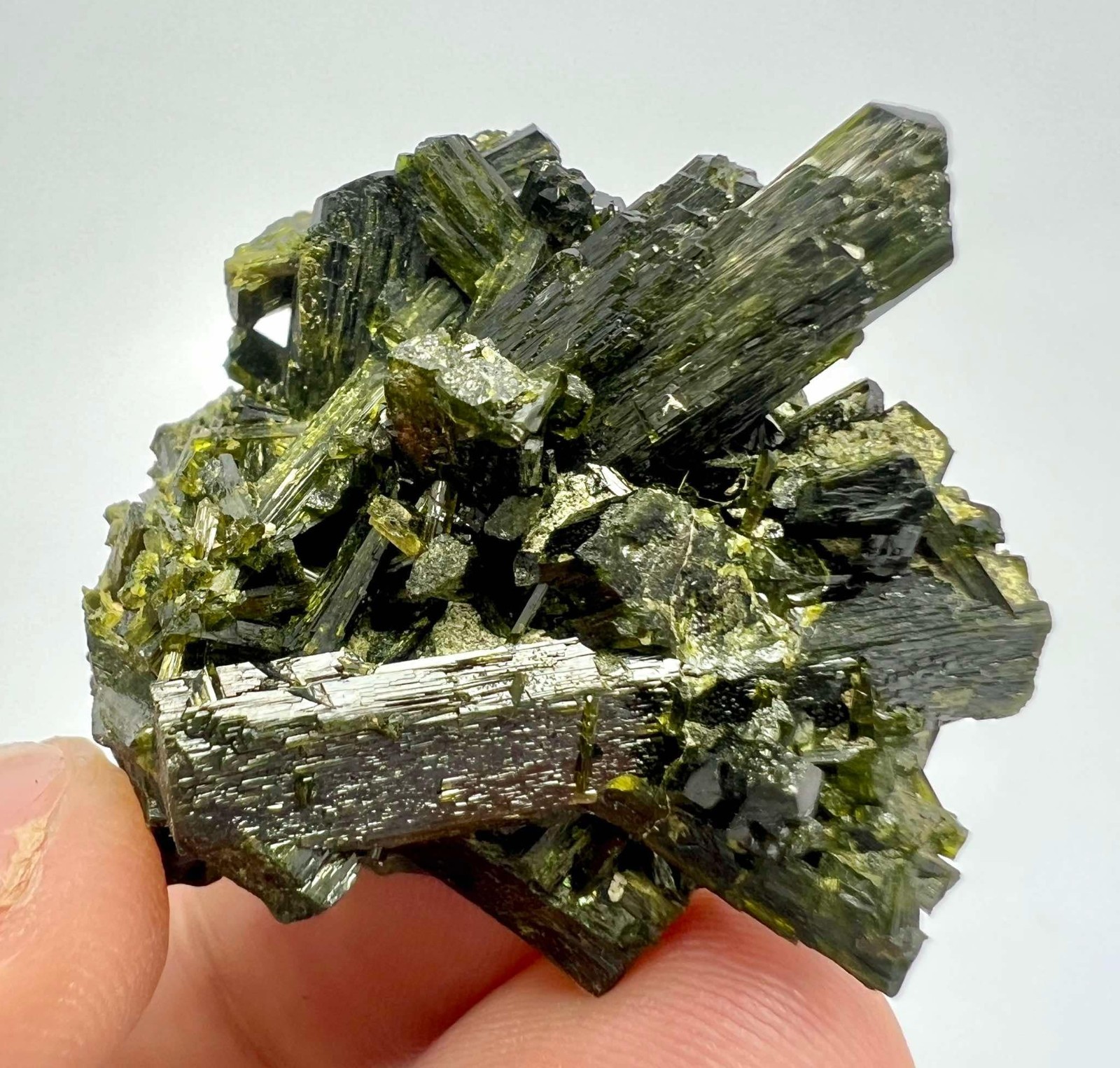 123 CT Amazing! Epidote Crystals Bunch Specimen From Skardu Pakistan s42