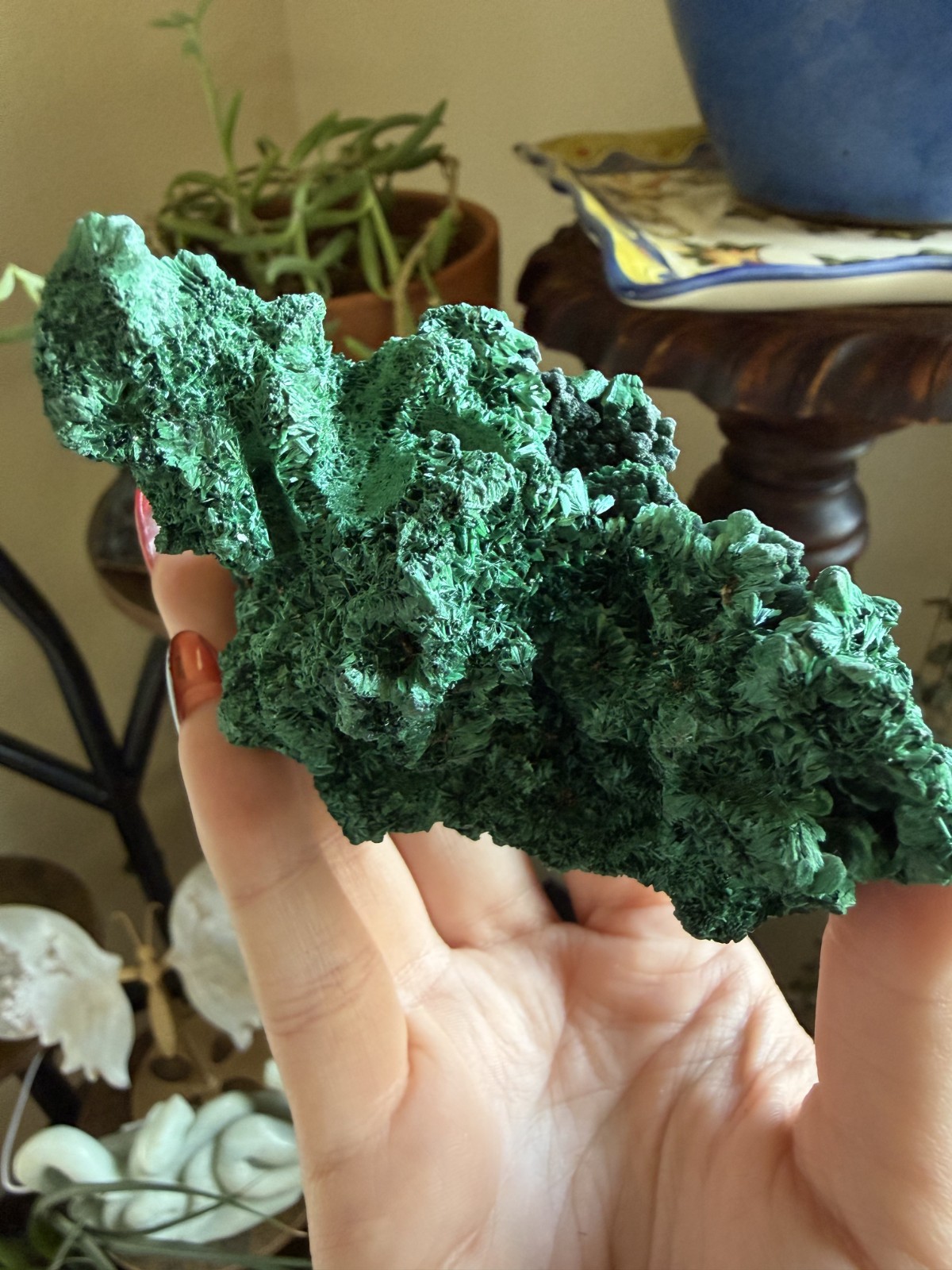 Malachite Crystal Specimen (Floating, No Matrix) – 5.68 oz