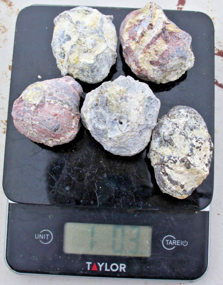 One Pound, 5-7 Whole Dugway Geodes • 1.5″ – 2.0″ diam.