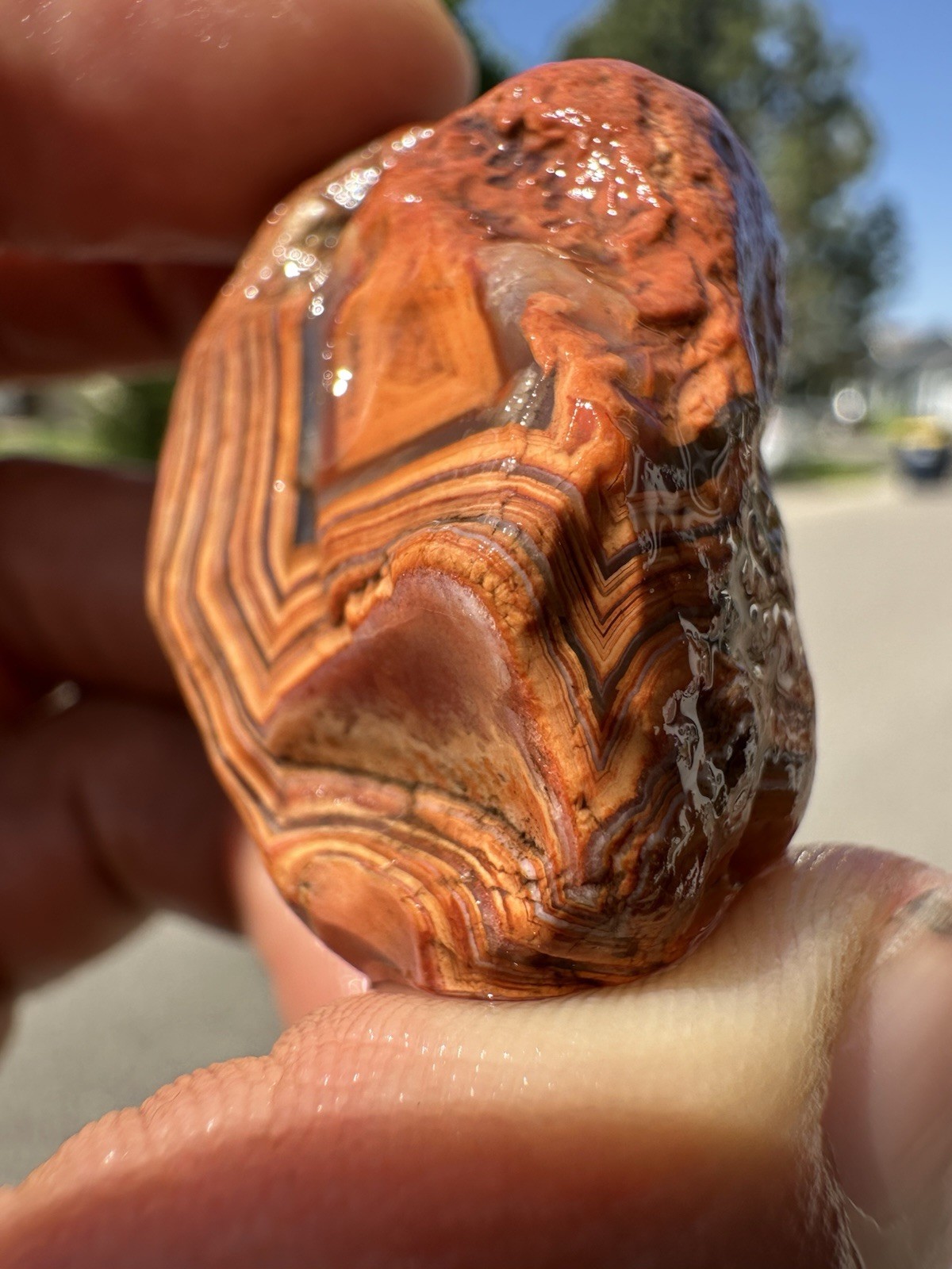 1.45 oz Lake Superior Agate Rare Chalky Opaque Fire Canyon Paint Agate (DEAL)