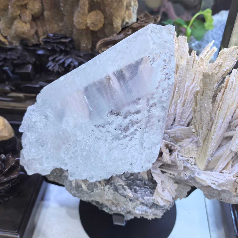 17LB Rare Natural Clear Selenite Gypsum Crystal Symbiosis Mineral Specimen