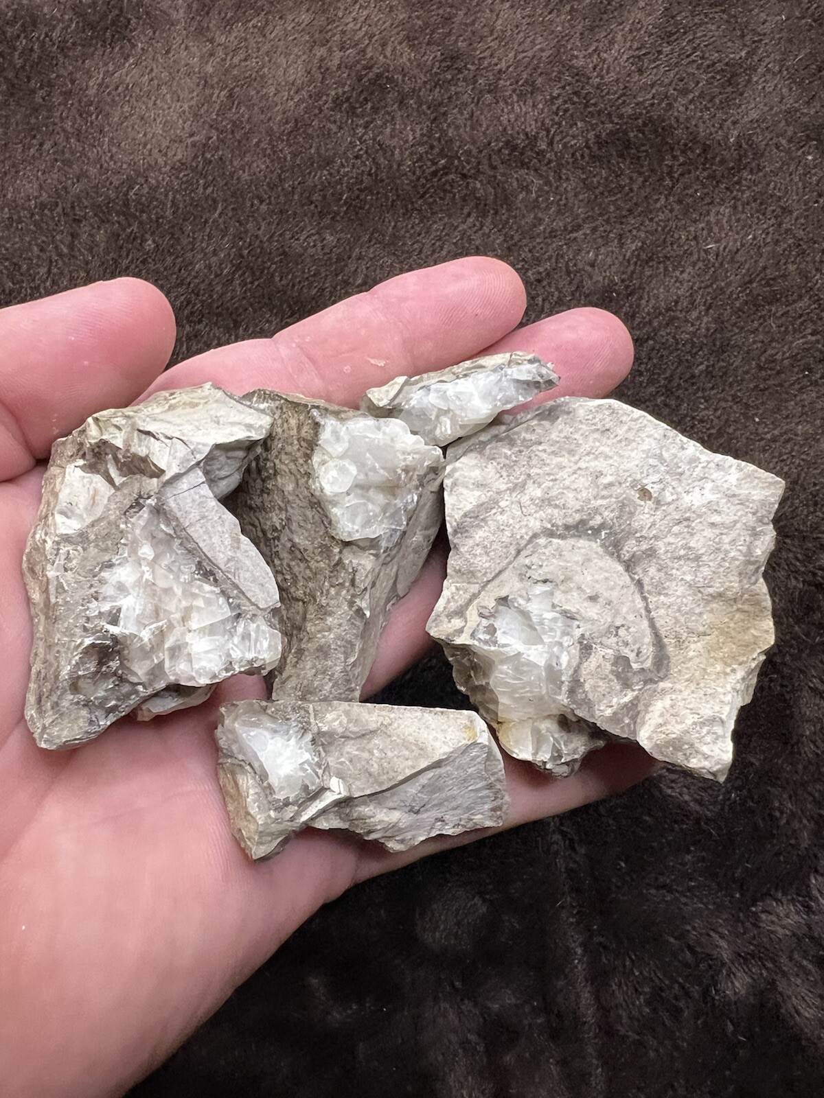 raw natural quartz crystal North East Mississippi Outcrop 5 Pieces
