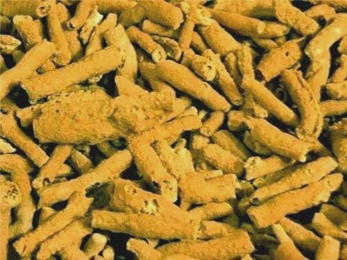 Fulgurite lightning fused sand blond fulgurite 1/8 pound 7 plus pieces 1-2.25″