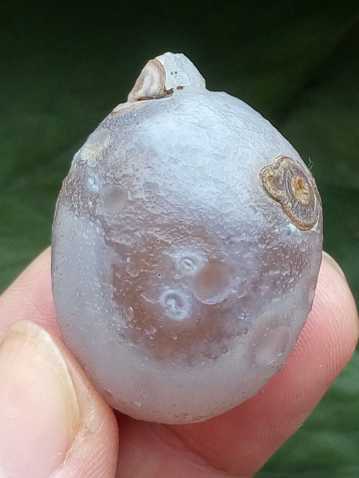 36mm Beautiful Natural agate Gobi agate eye agate stone cute collection