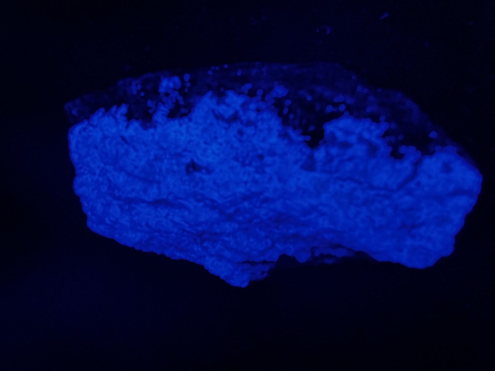 KB: SW FL BRIGHT!! BLUE/WHITE SCHEELITE XLINE. ON GNEISS YUNNAN PROVINCE, CHINA